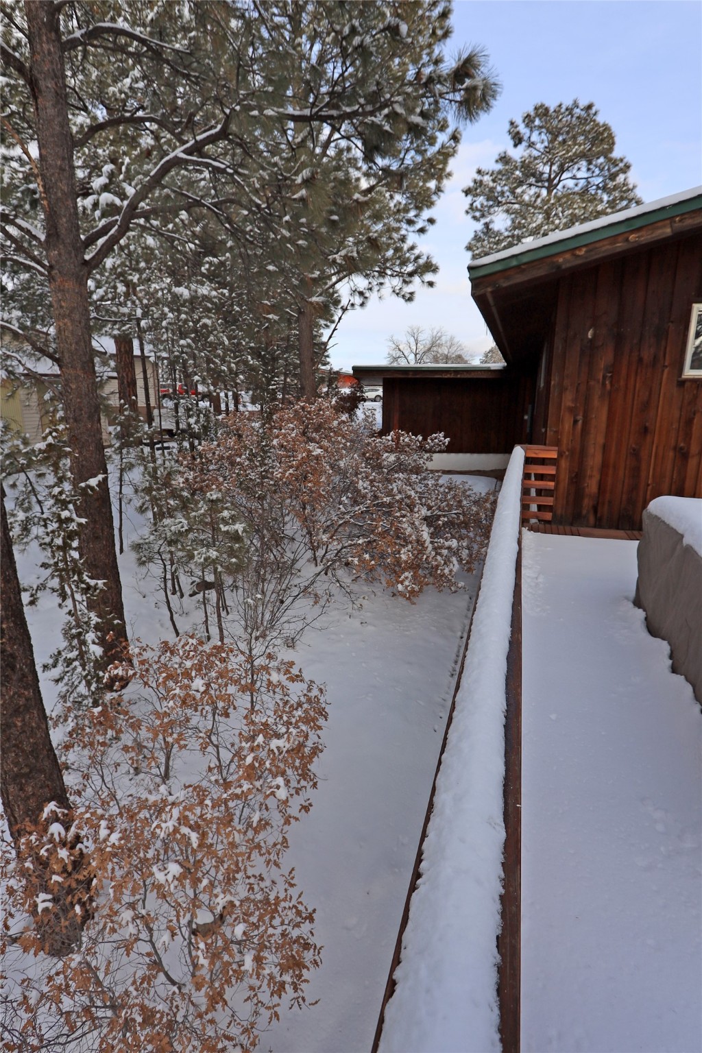 Snow-covered deck beside a wood-sided home, overlooking pine trees and a snowy yard.