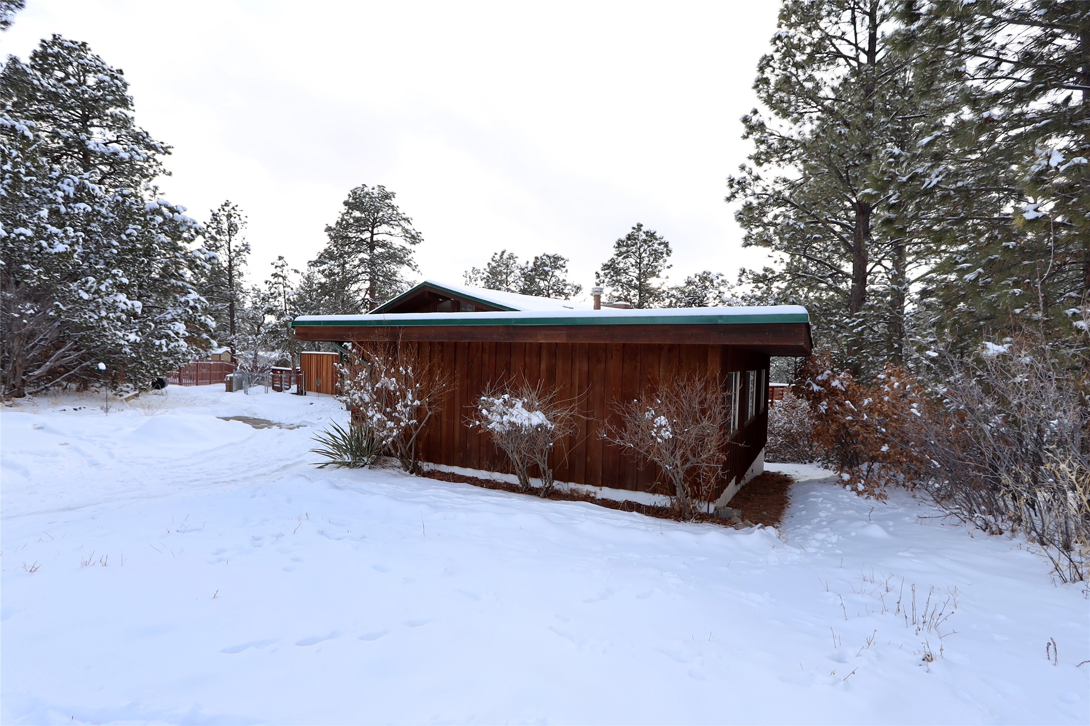 Wood-sided home in a snowy, pine-covered setting.