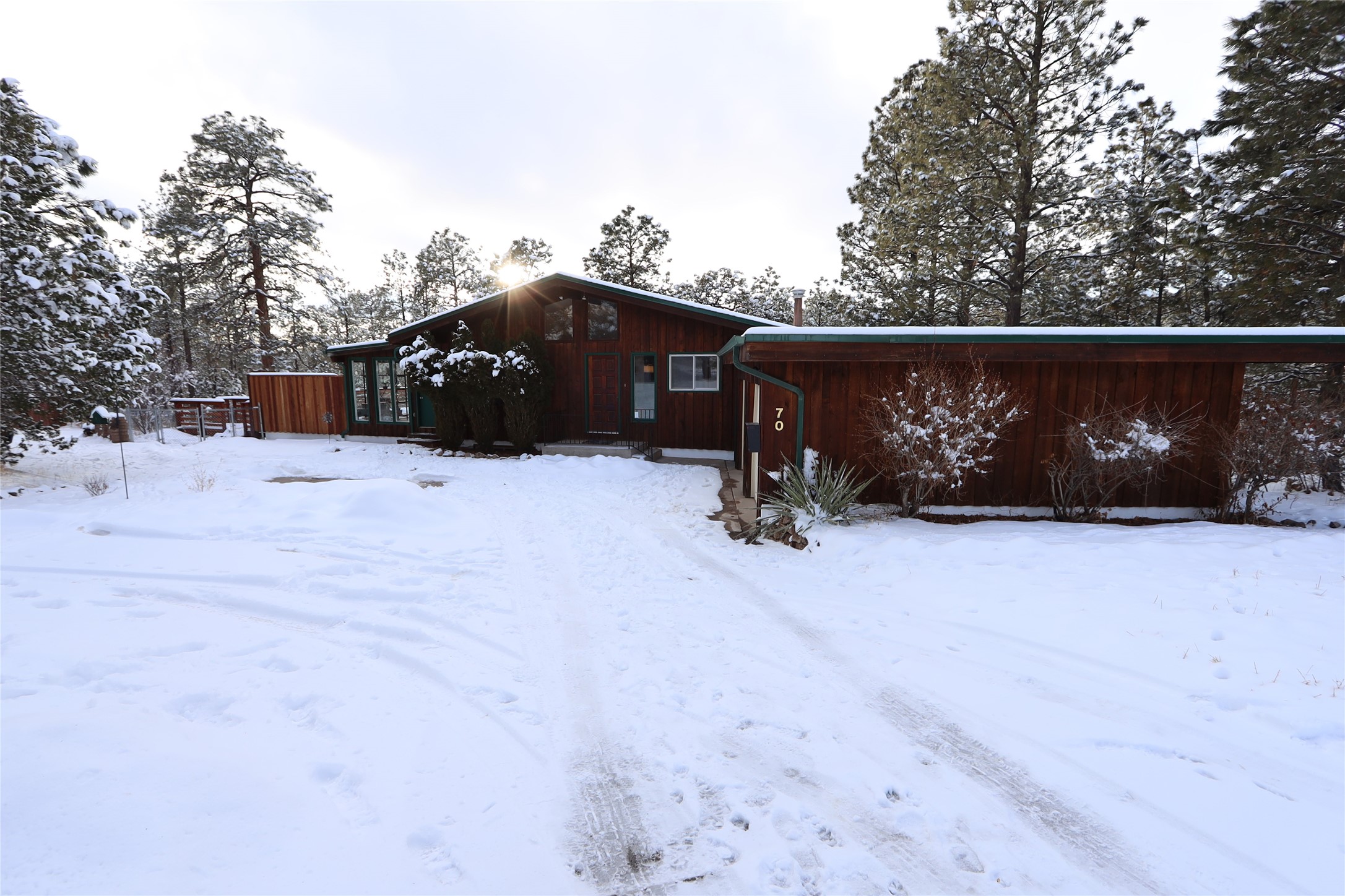 Wood-sided home with green roof trim and snow-covered grounds among pine trees.
