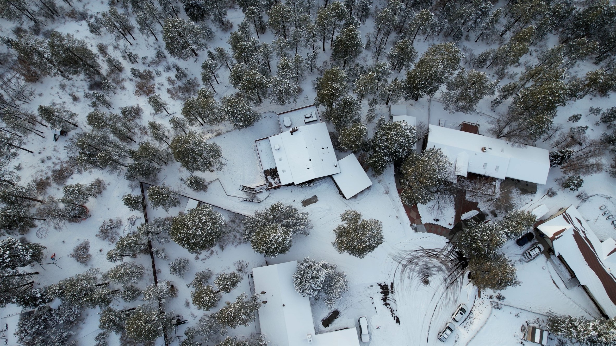 Snow-covered property among pine trees, with several buildings and a winding driveway.