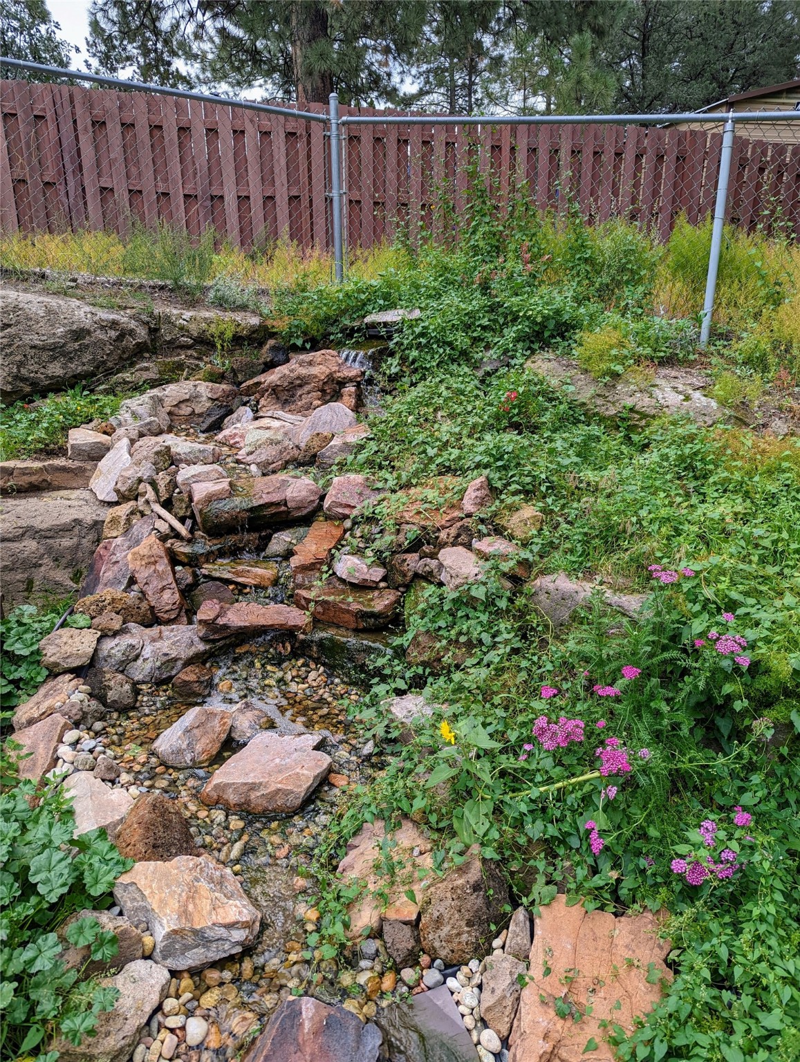 Rocky garden stream bordered by green ground cover and clusters of pink flowers.