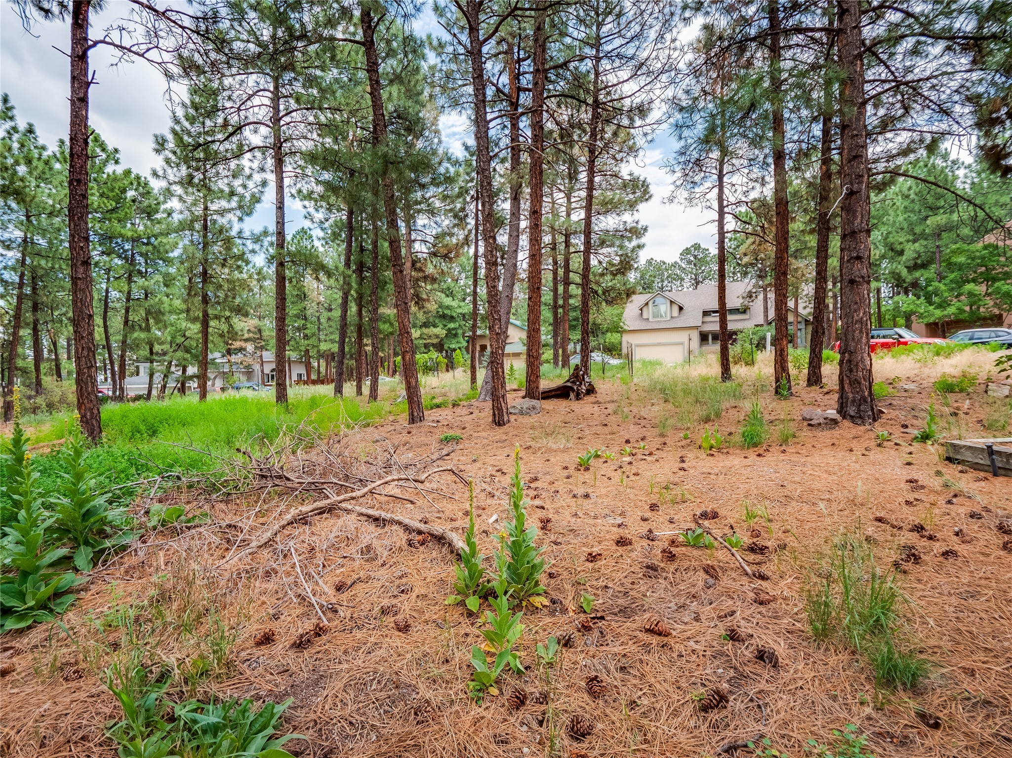 2155 La Tierra Road