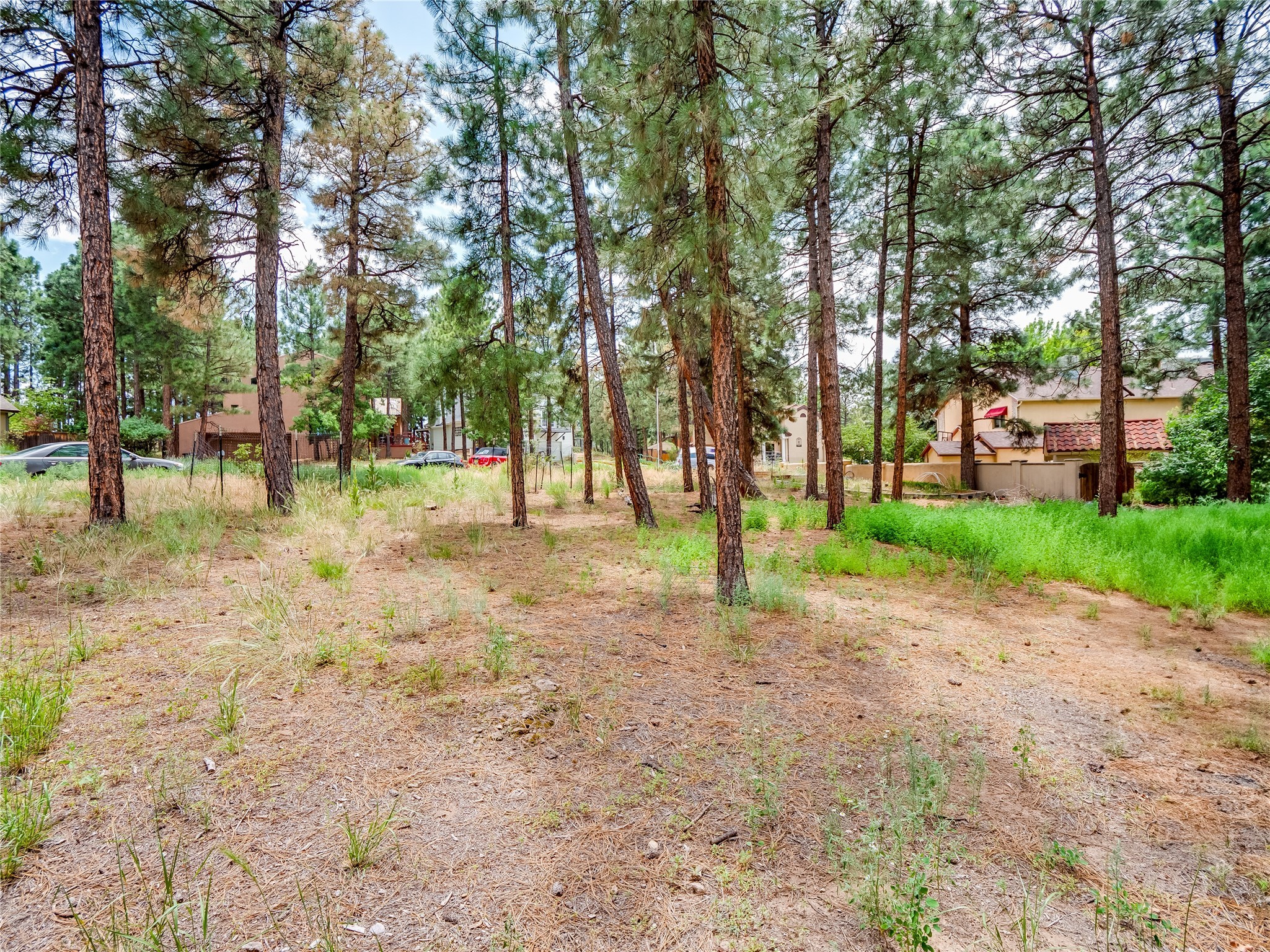 2155 La Tierra Road
