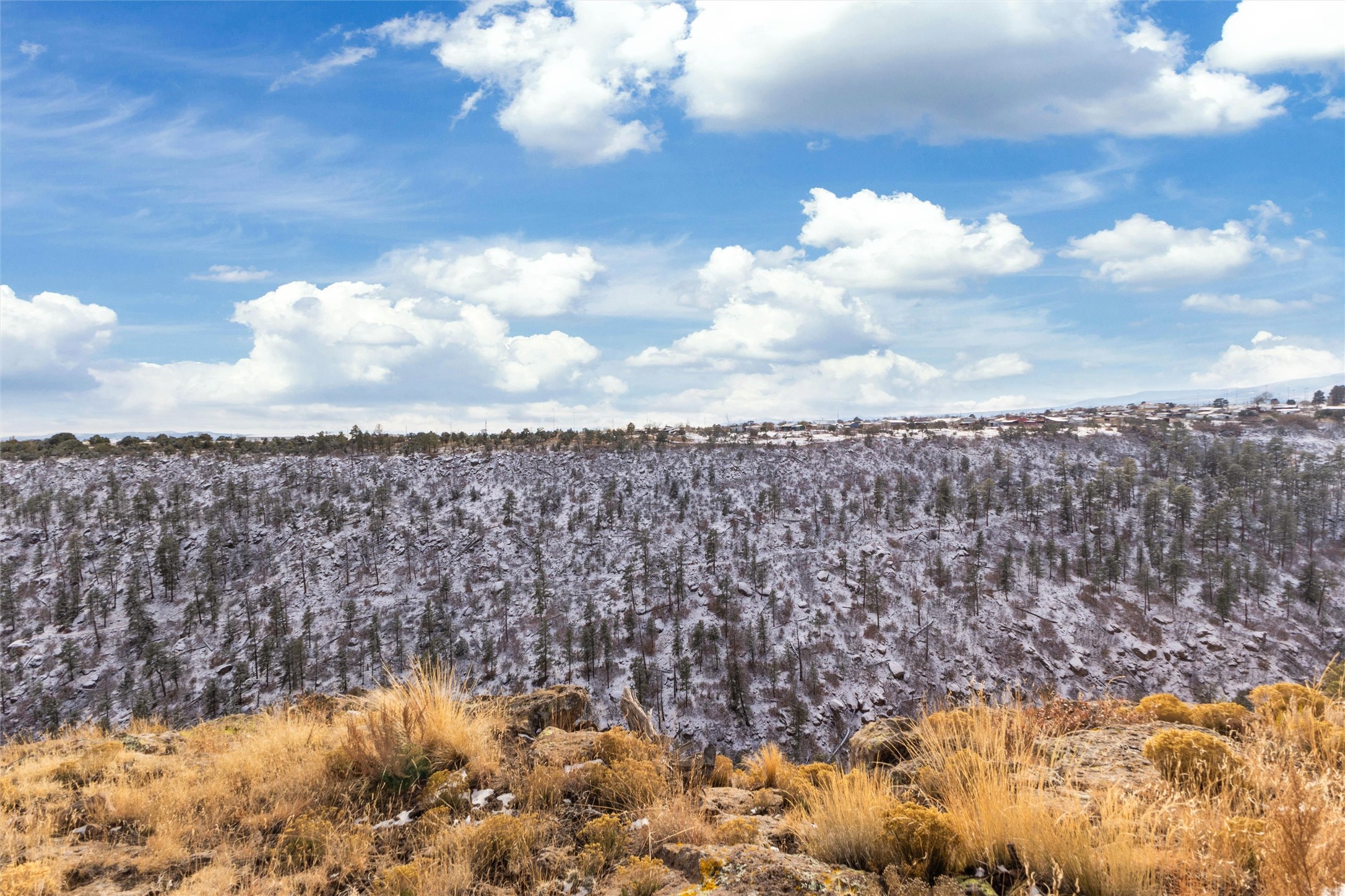 Snow-dusted wooded ravine and distant homes viewed from a rocky ridge with golden grasses.