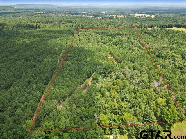 TBD (46 acres) CR 863
