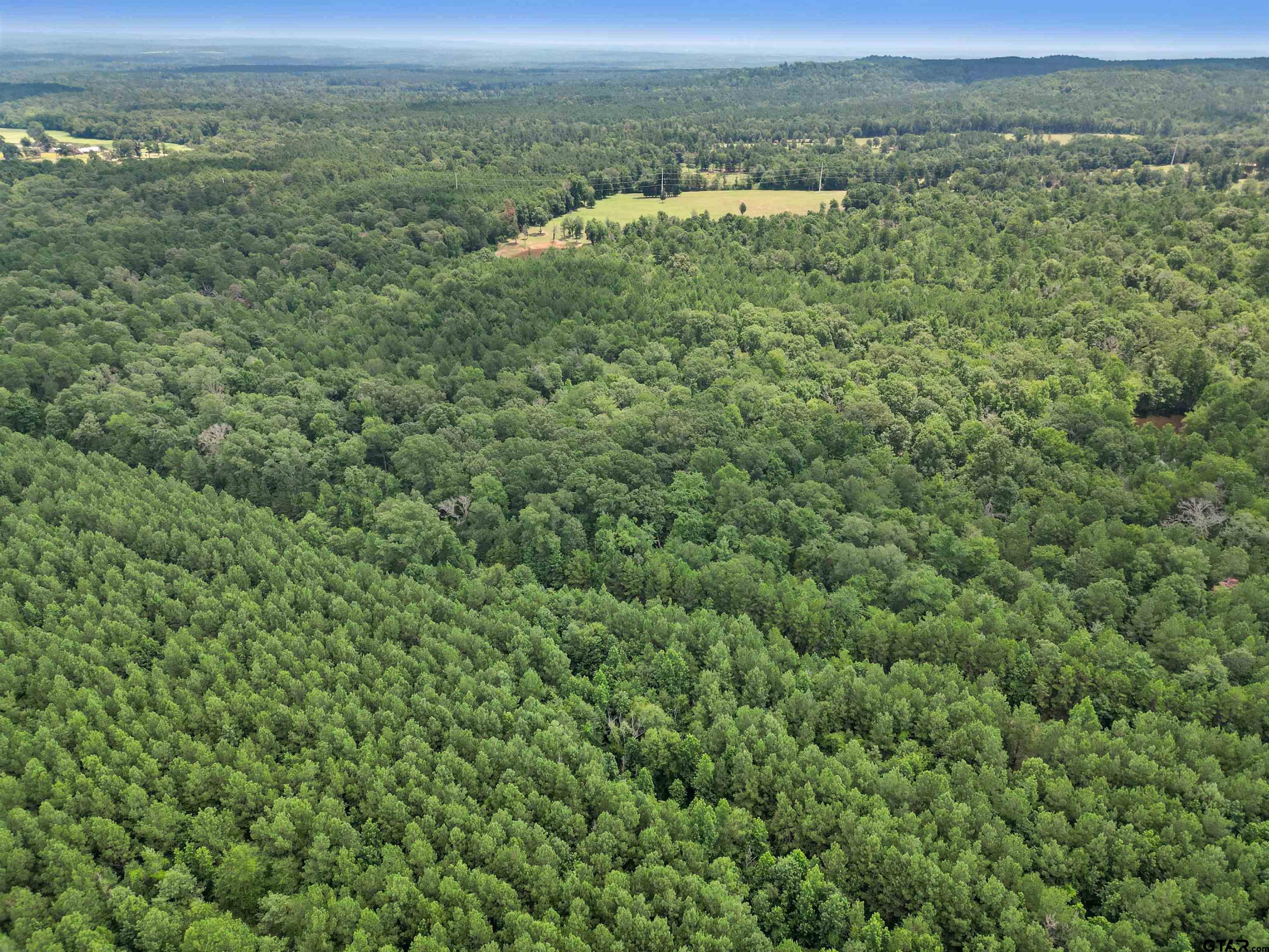 TBD (46 acres) CR 863