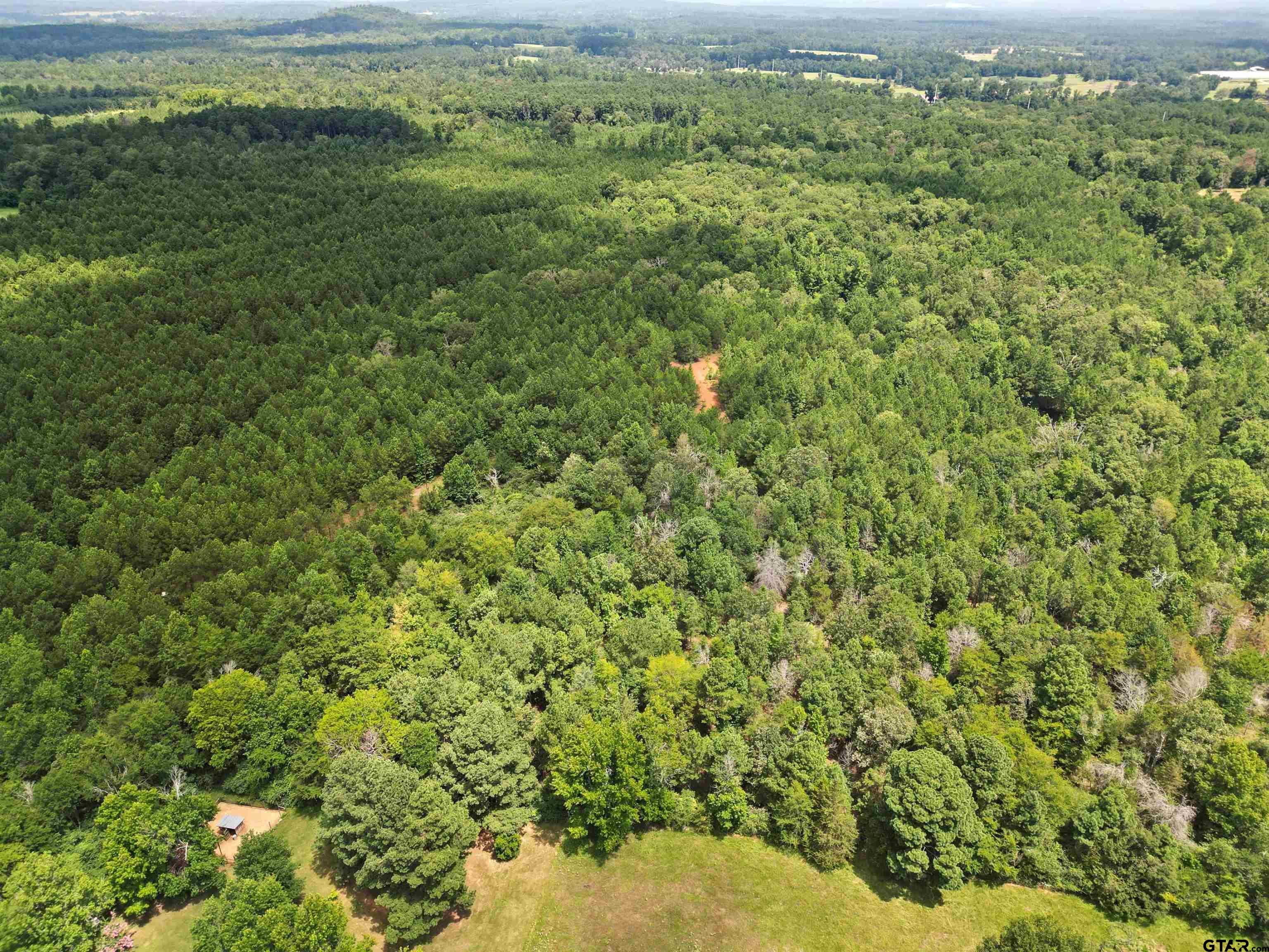 TBD (46 acres) CR 863
