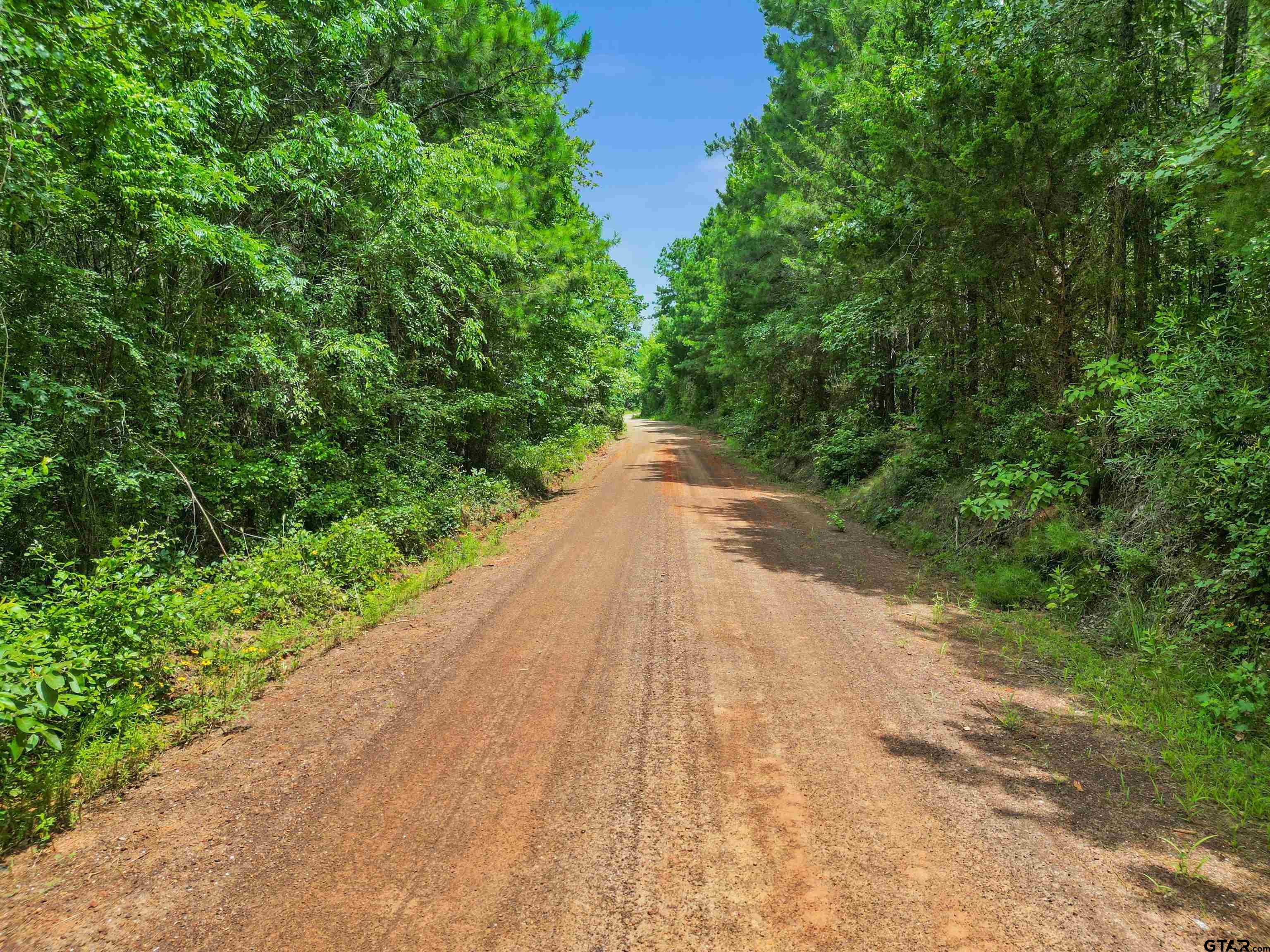 TBD (46 acres) CR 863