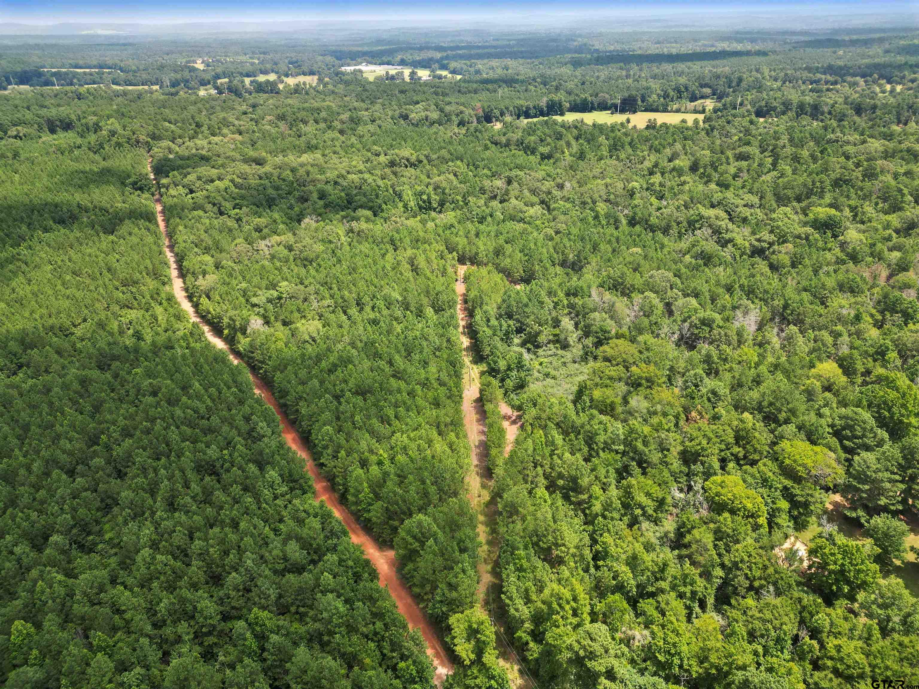 TBD (46 acres) CR 863