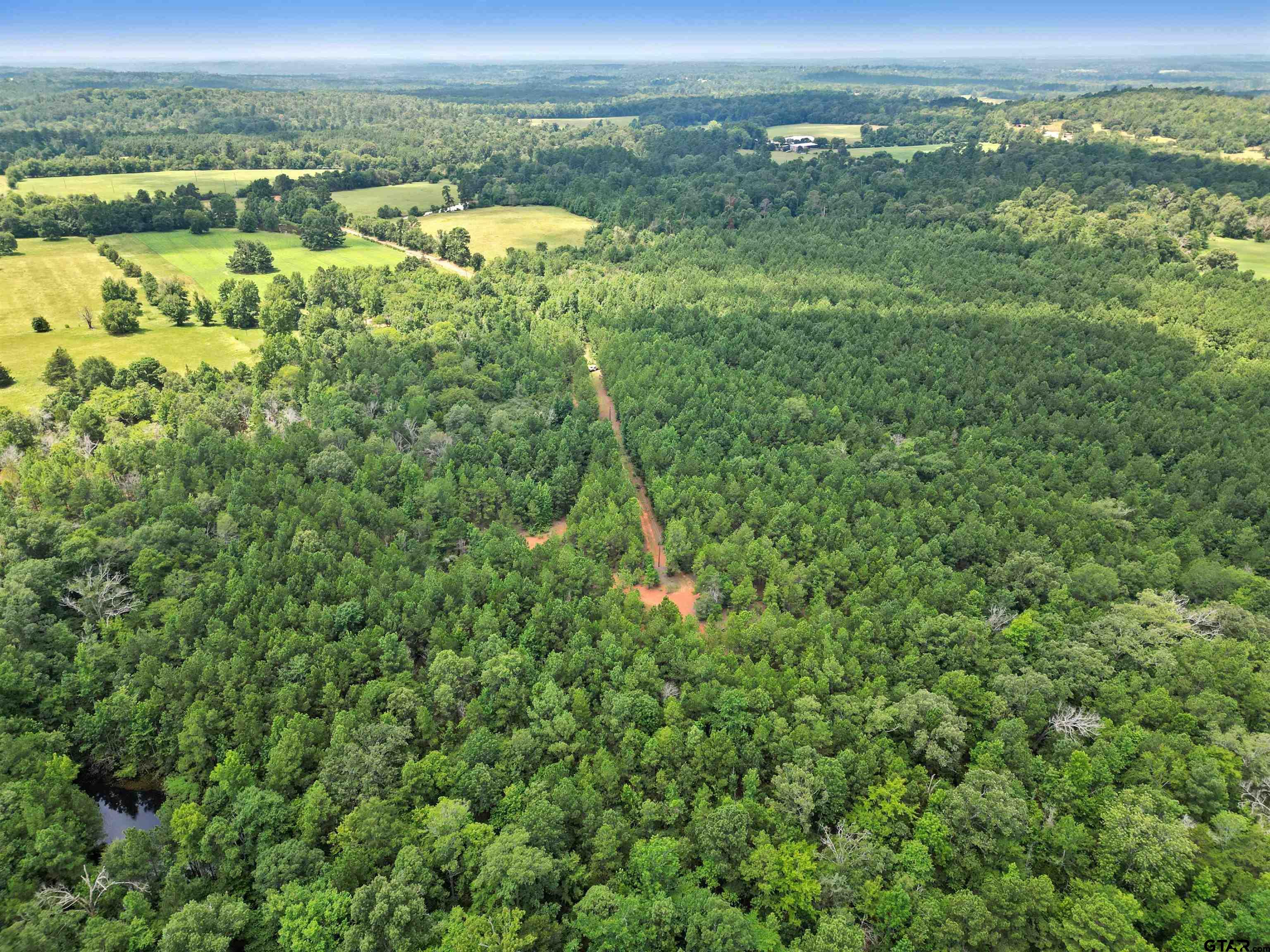 TBD (46 acres) CR 863