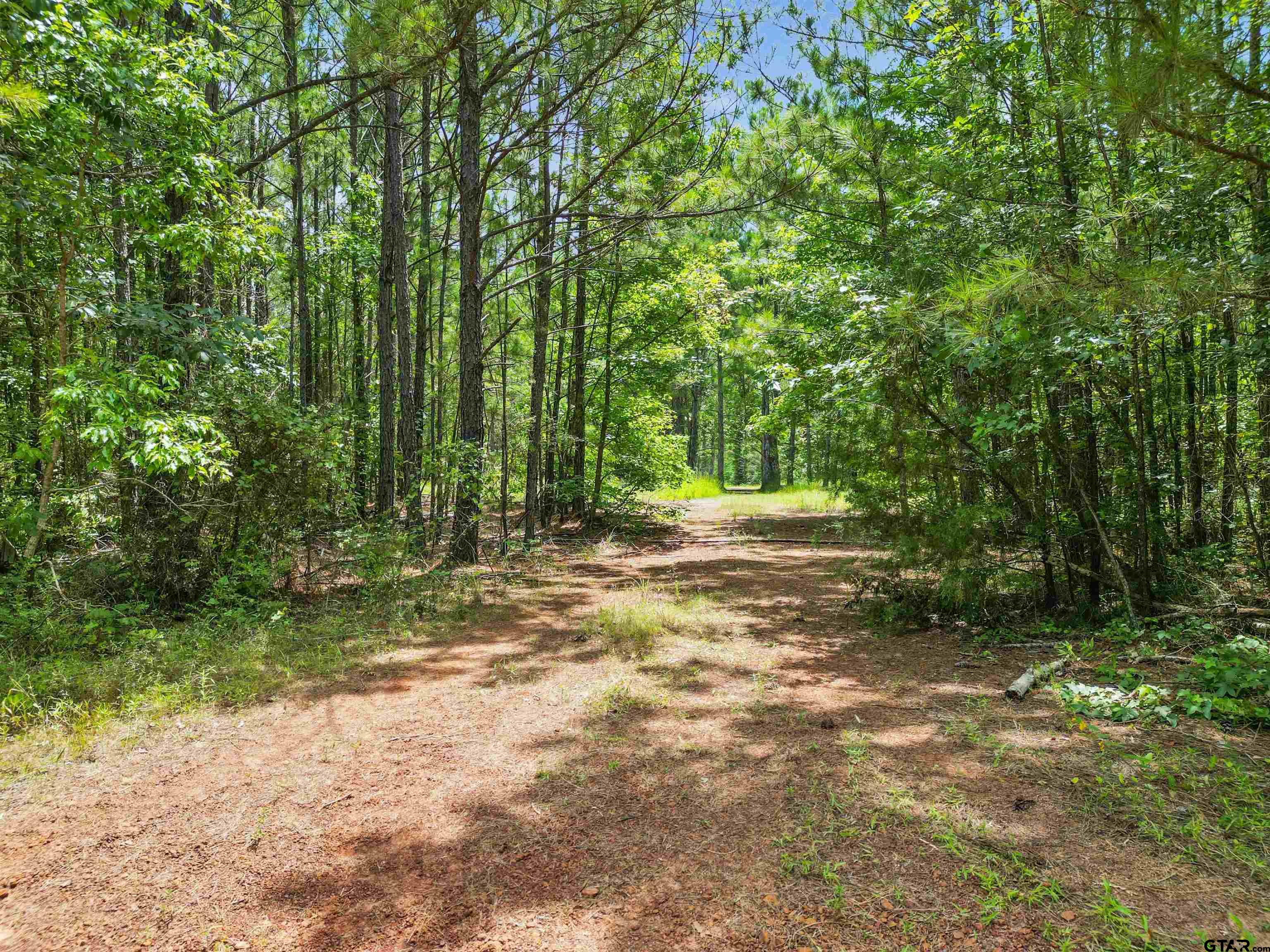 TBD (46 acres) CR 863