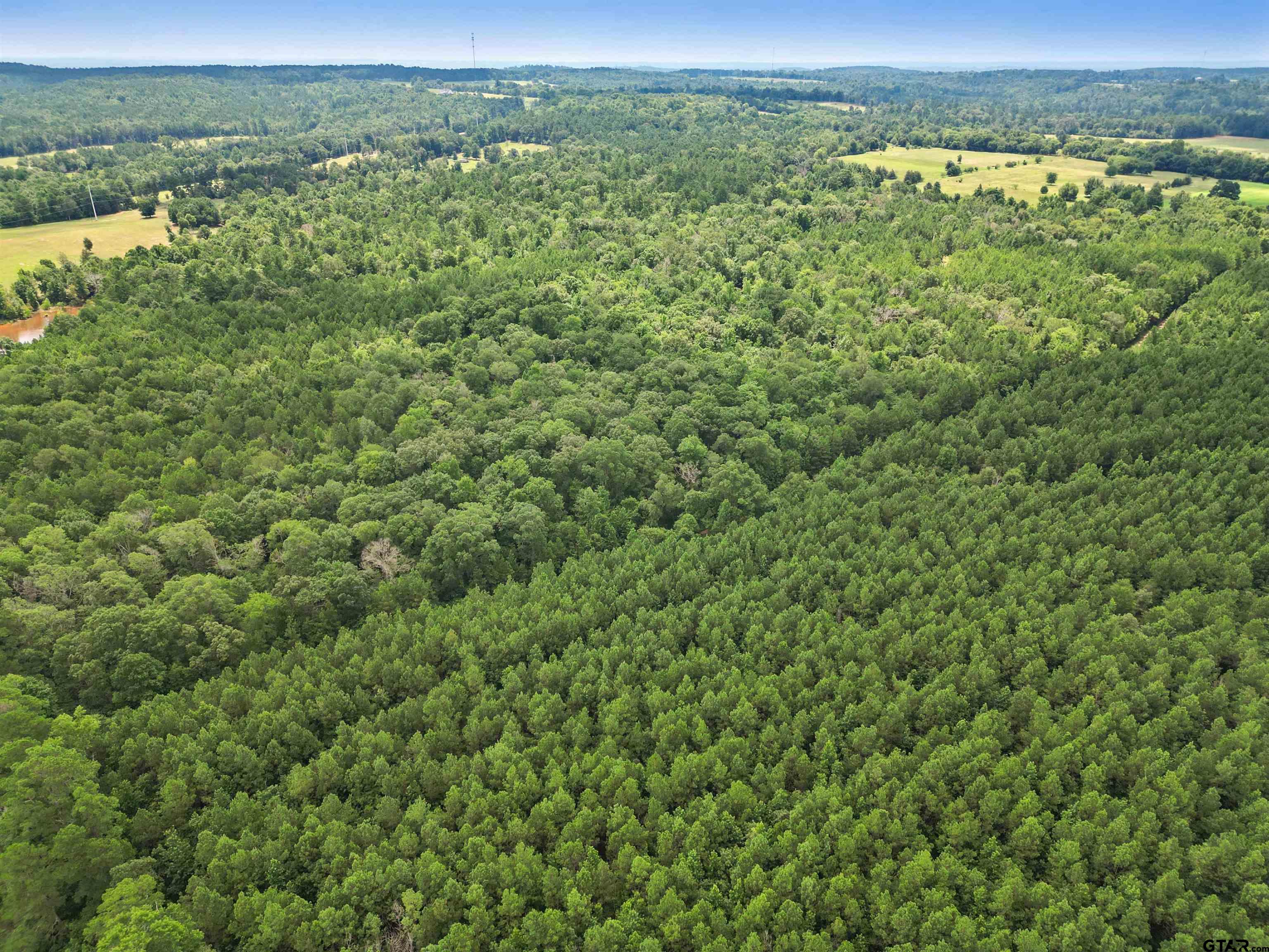 TBD (46 acres) CR 863