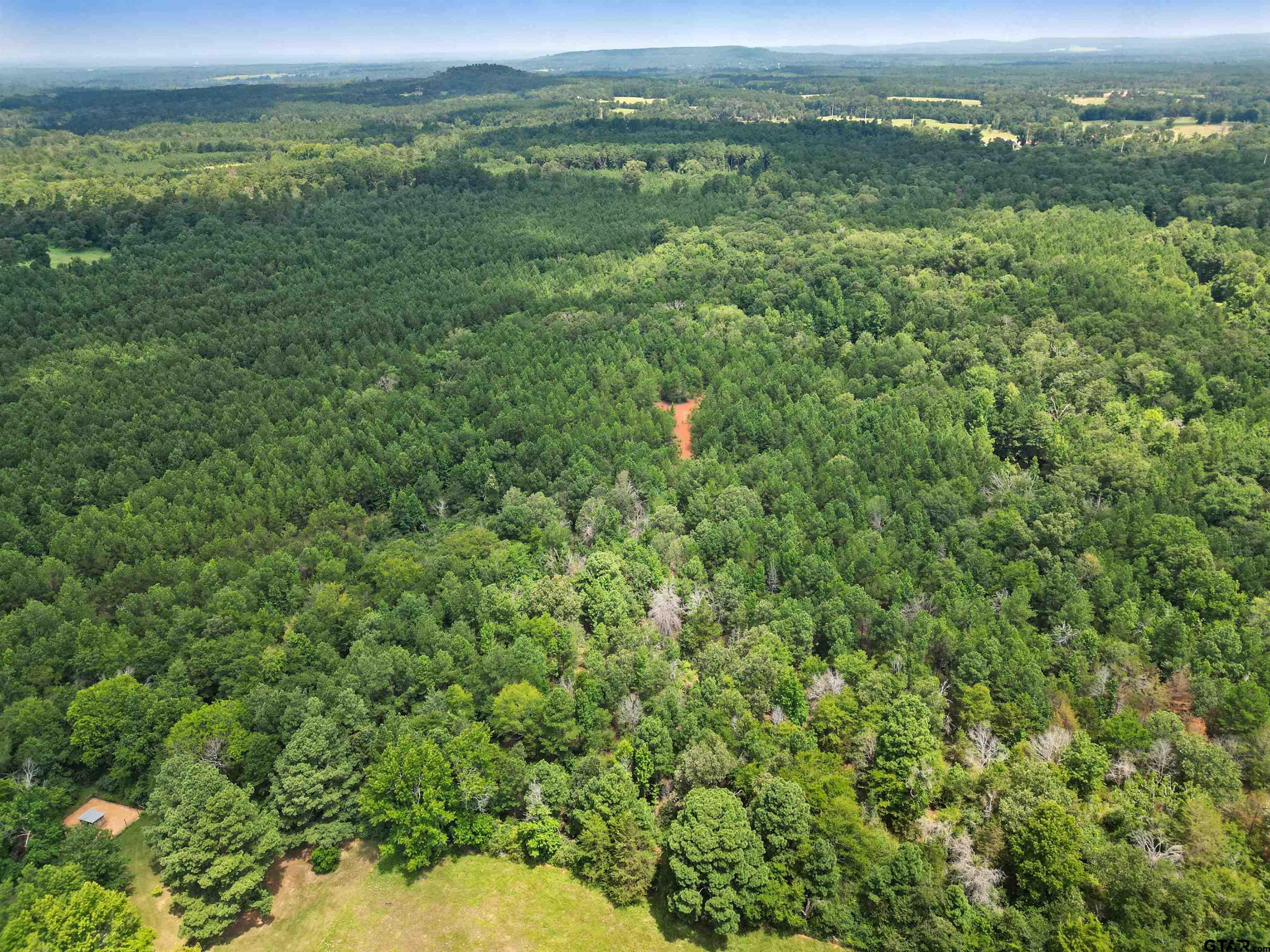 TBD (46 acres) CR 863
