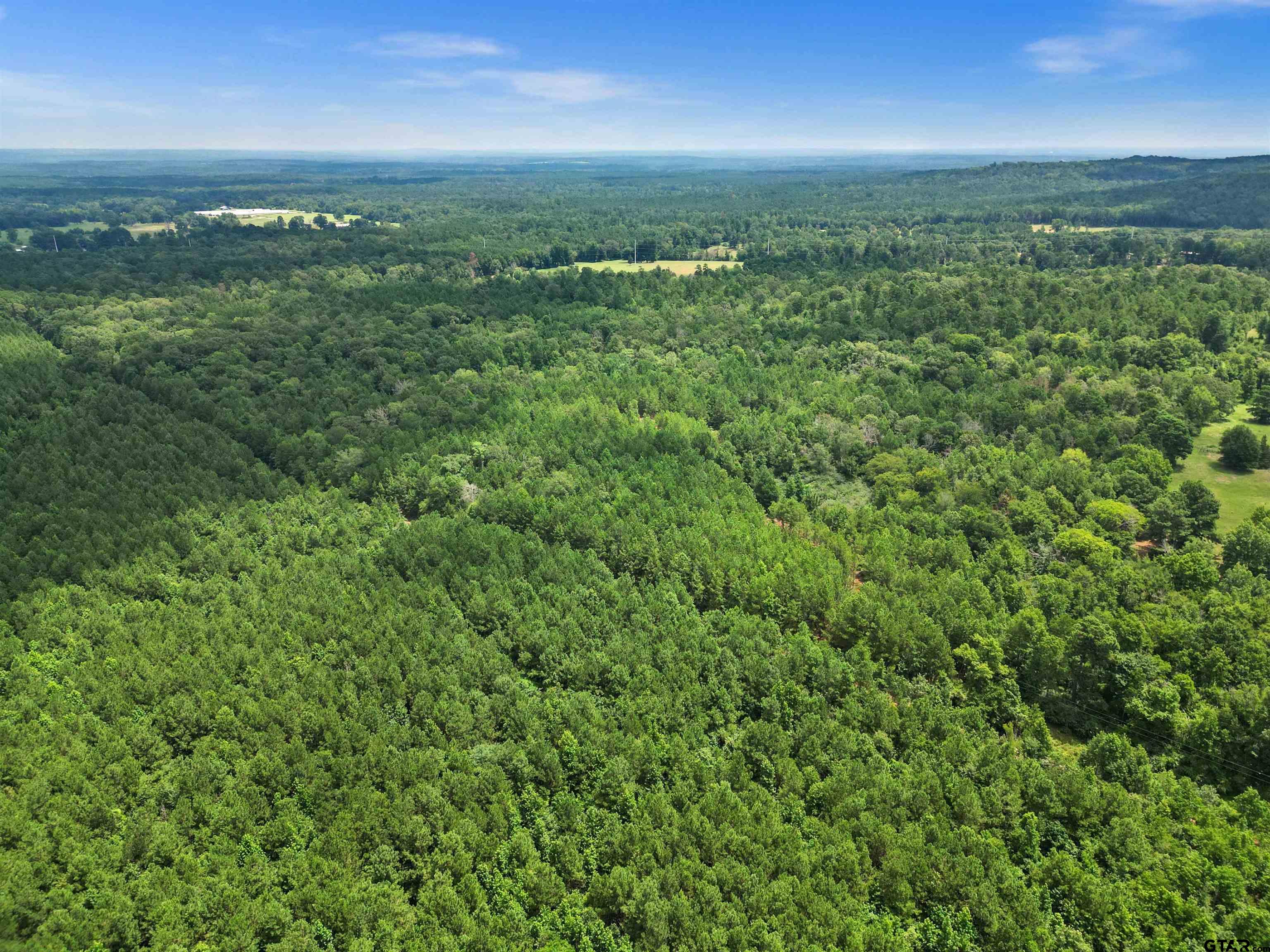 TBD (46 acres) CR 863