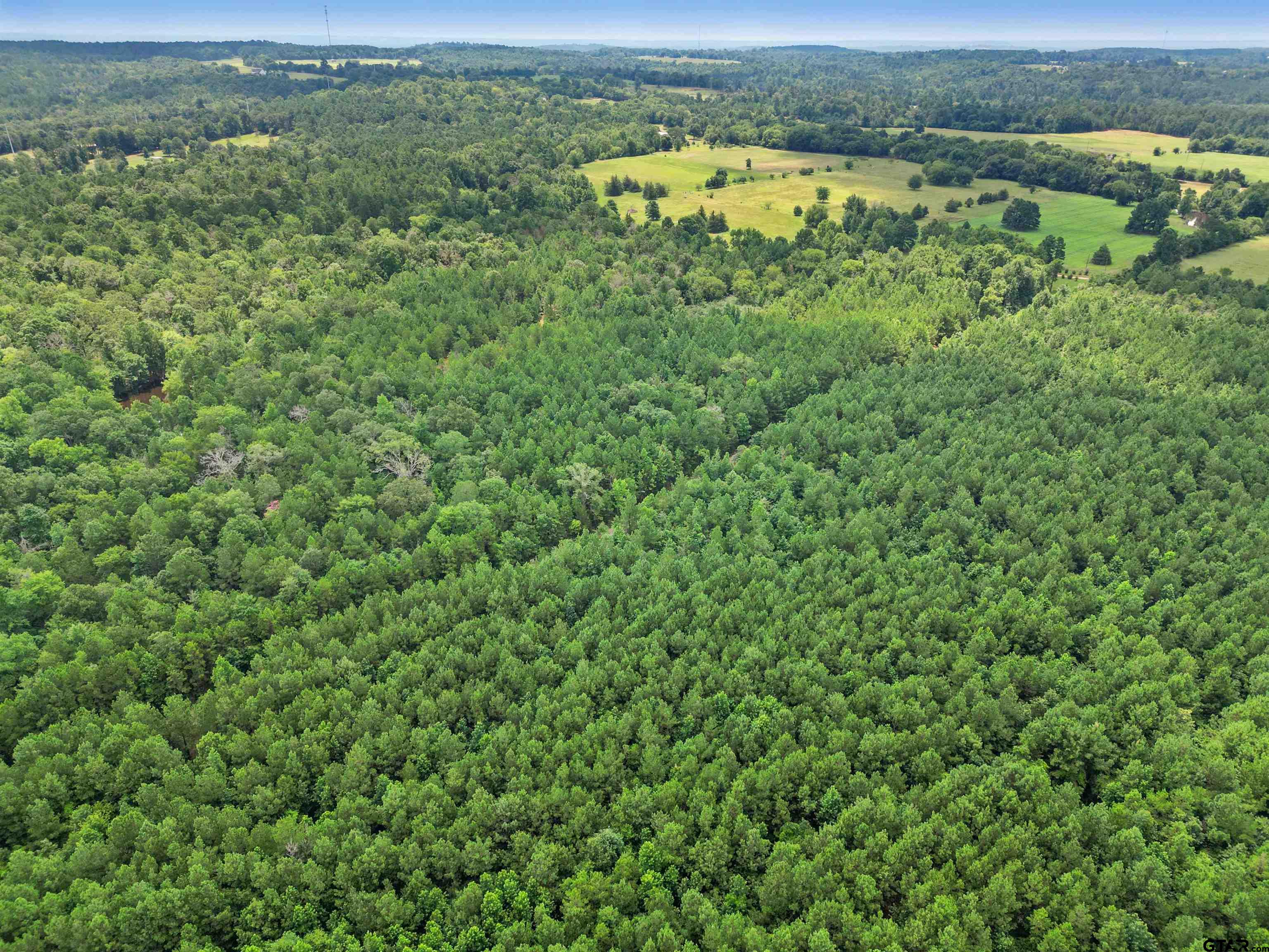 TBD (46 acres) CR 863