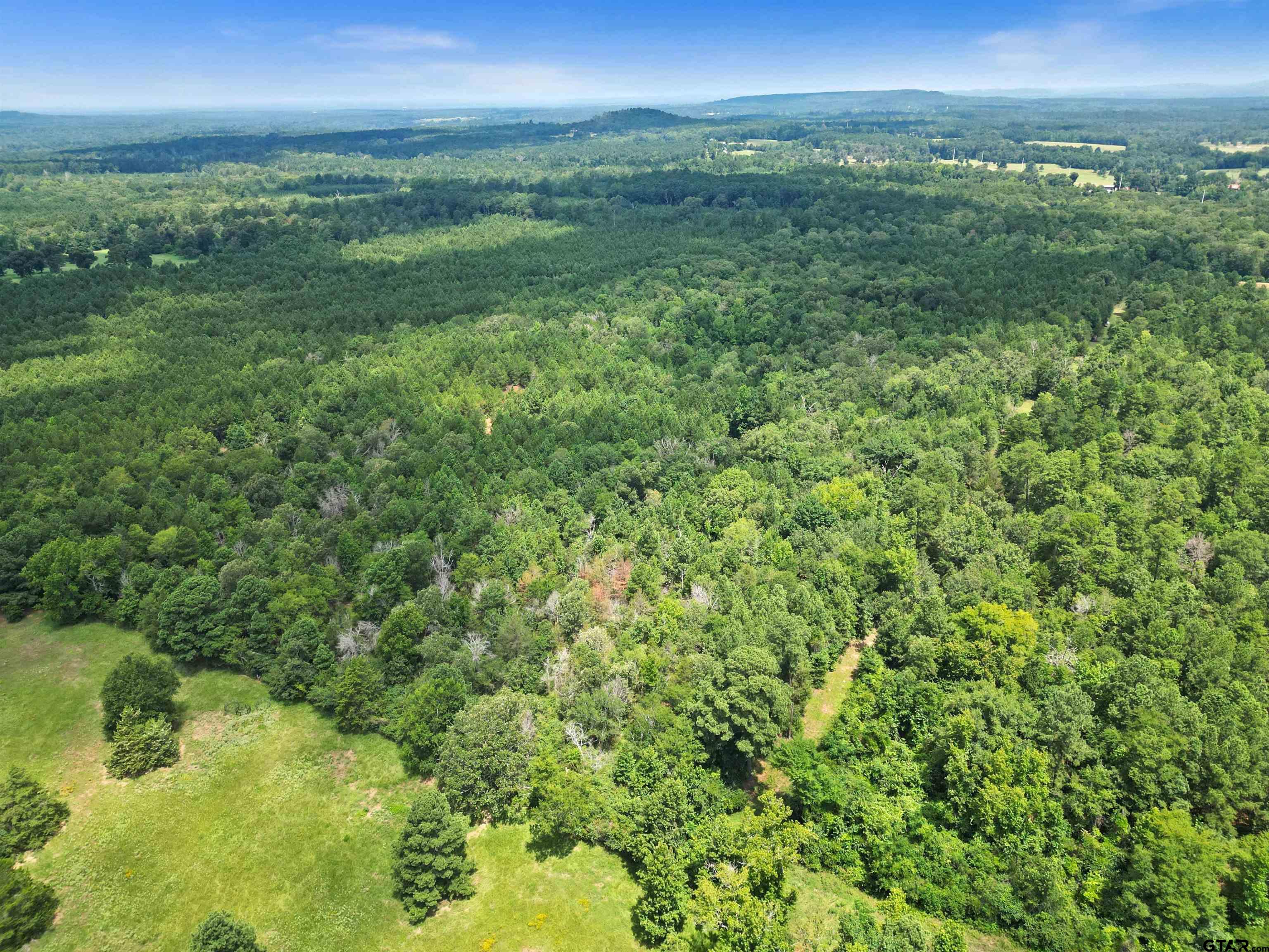 TBD (46 acres) CR 863