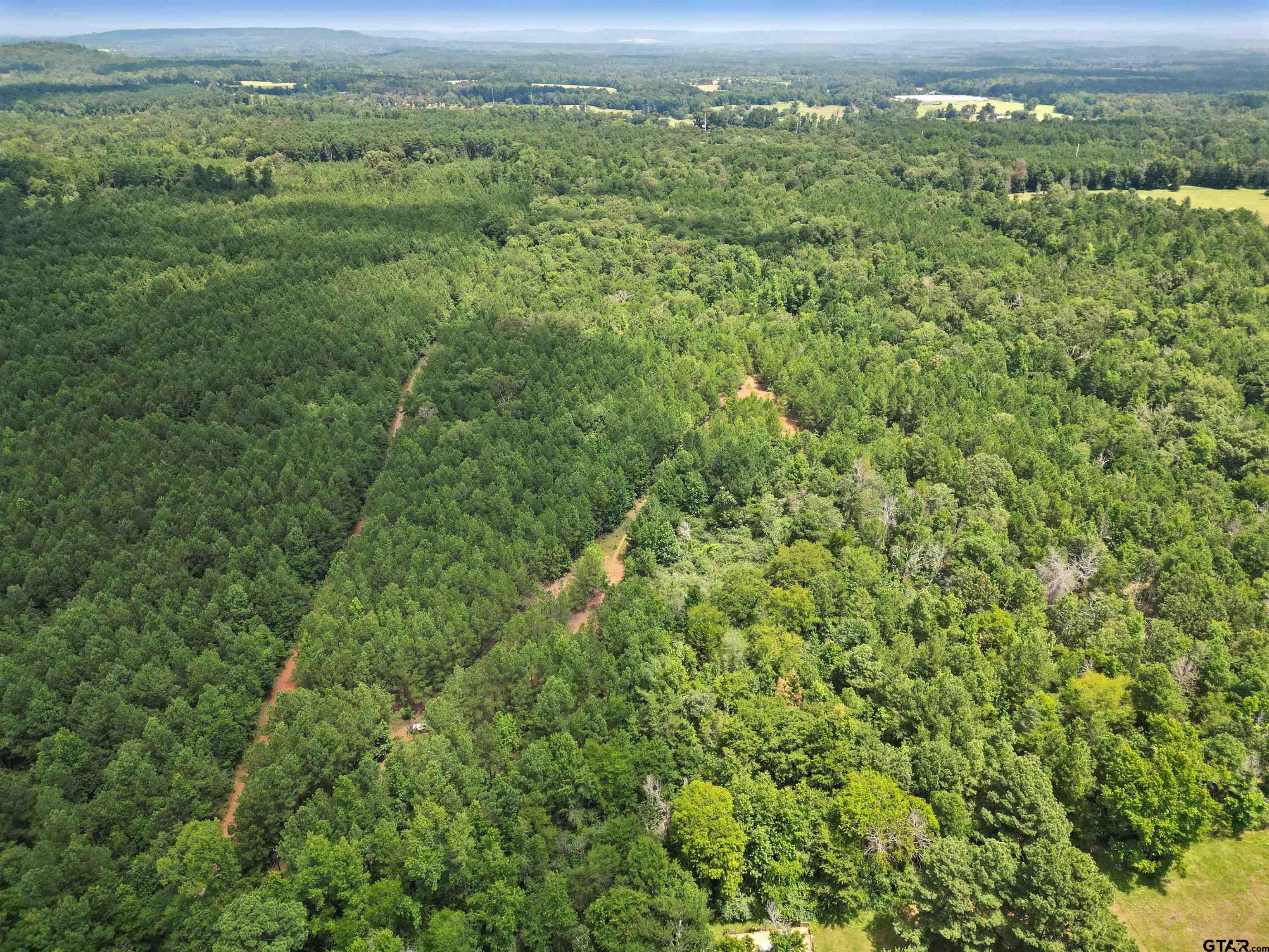 TBD (46 acres) CR 863