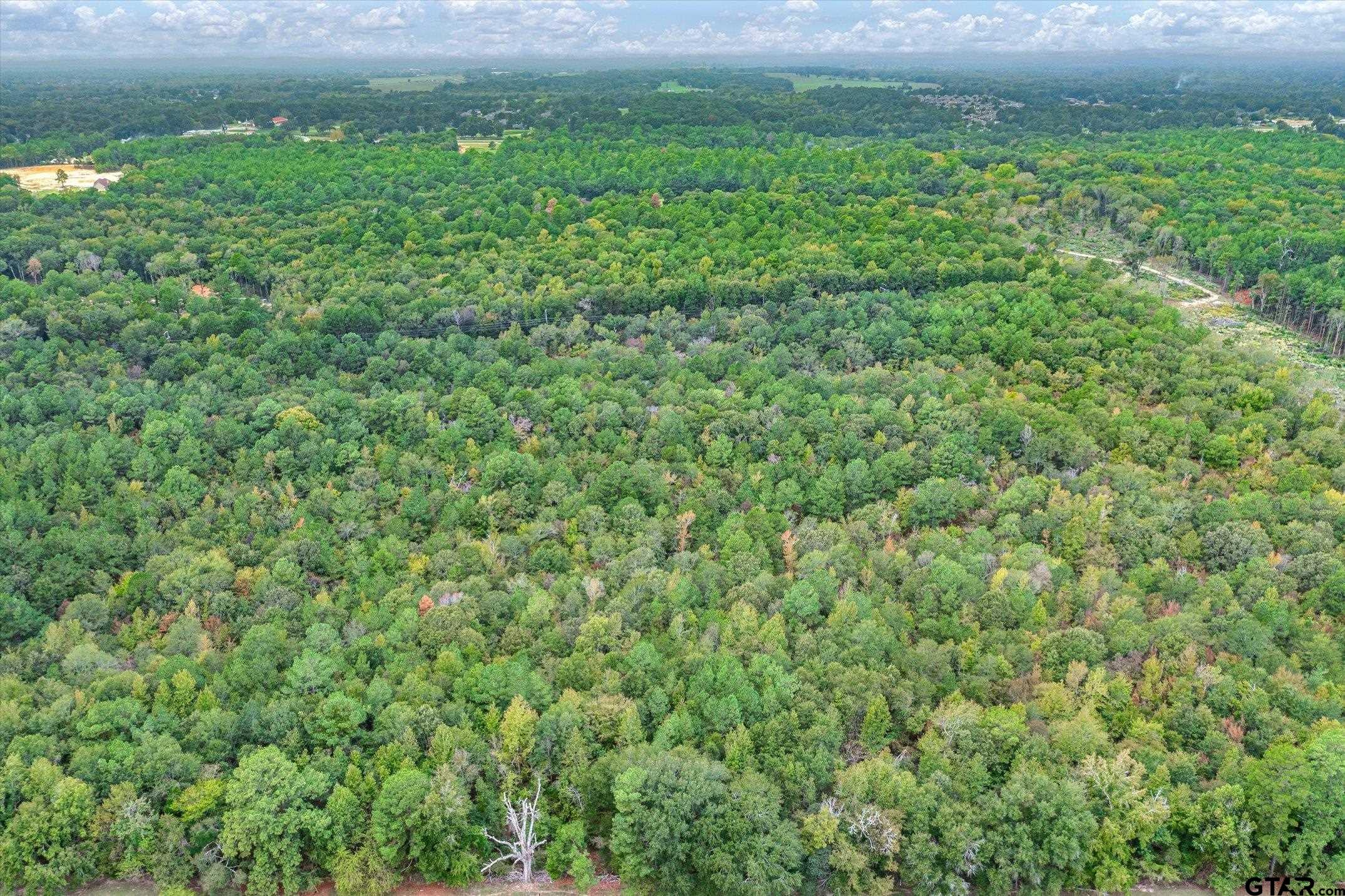 TBD (8.636 Acr) County Road 152 E