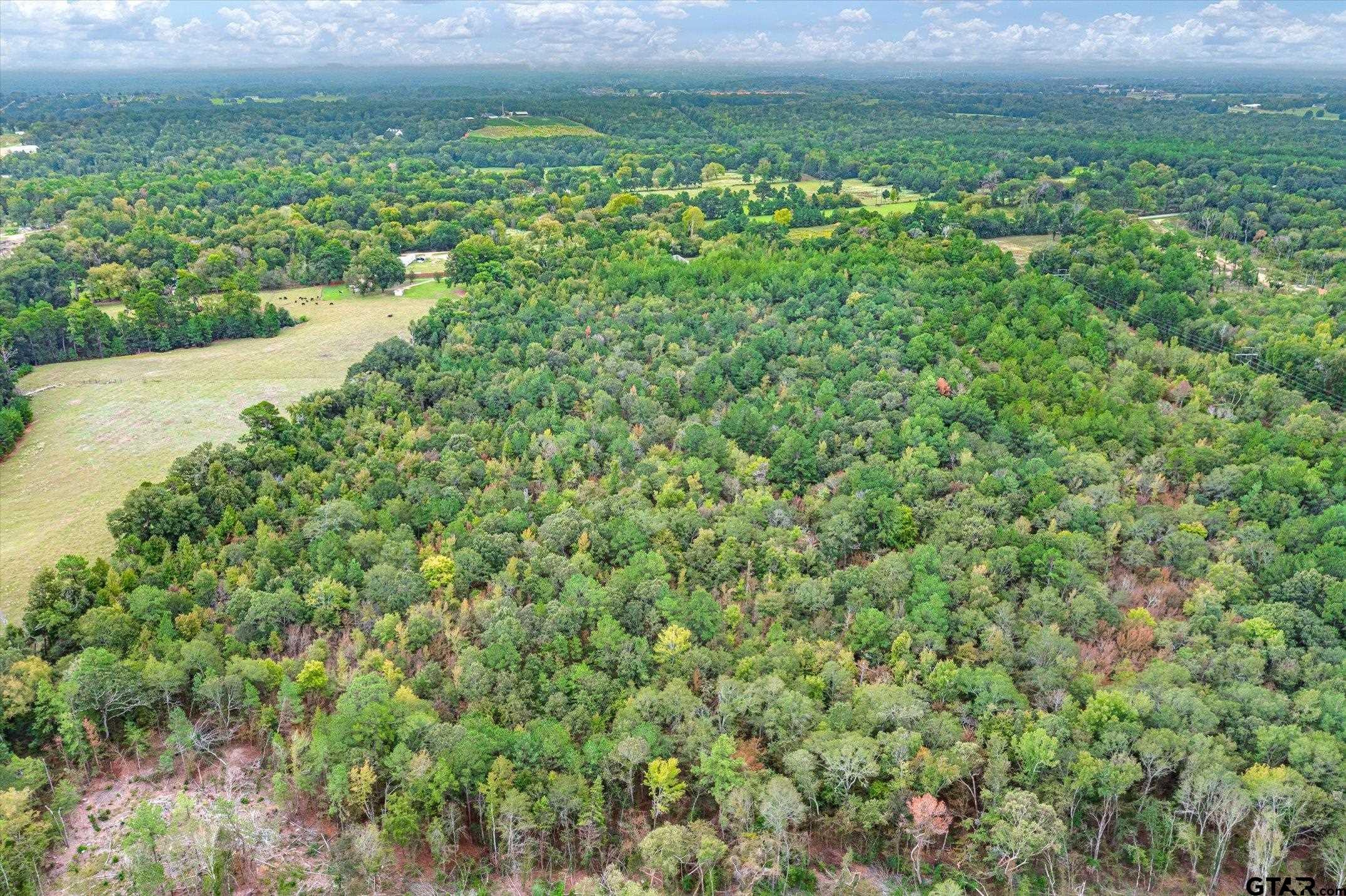 TBD (8.636 Acr) County Road 152 E
