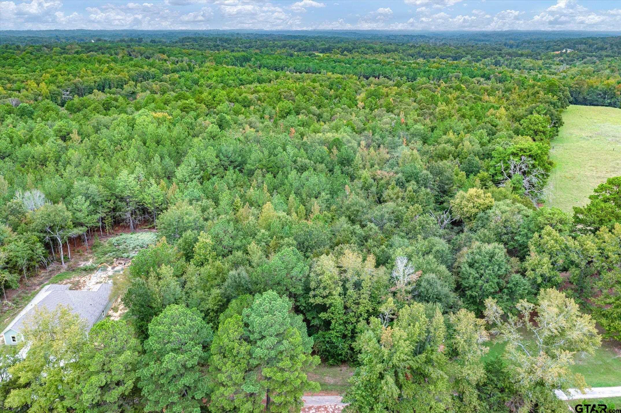 TBD (8.138 Acr) County Road 152 E