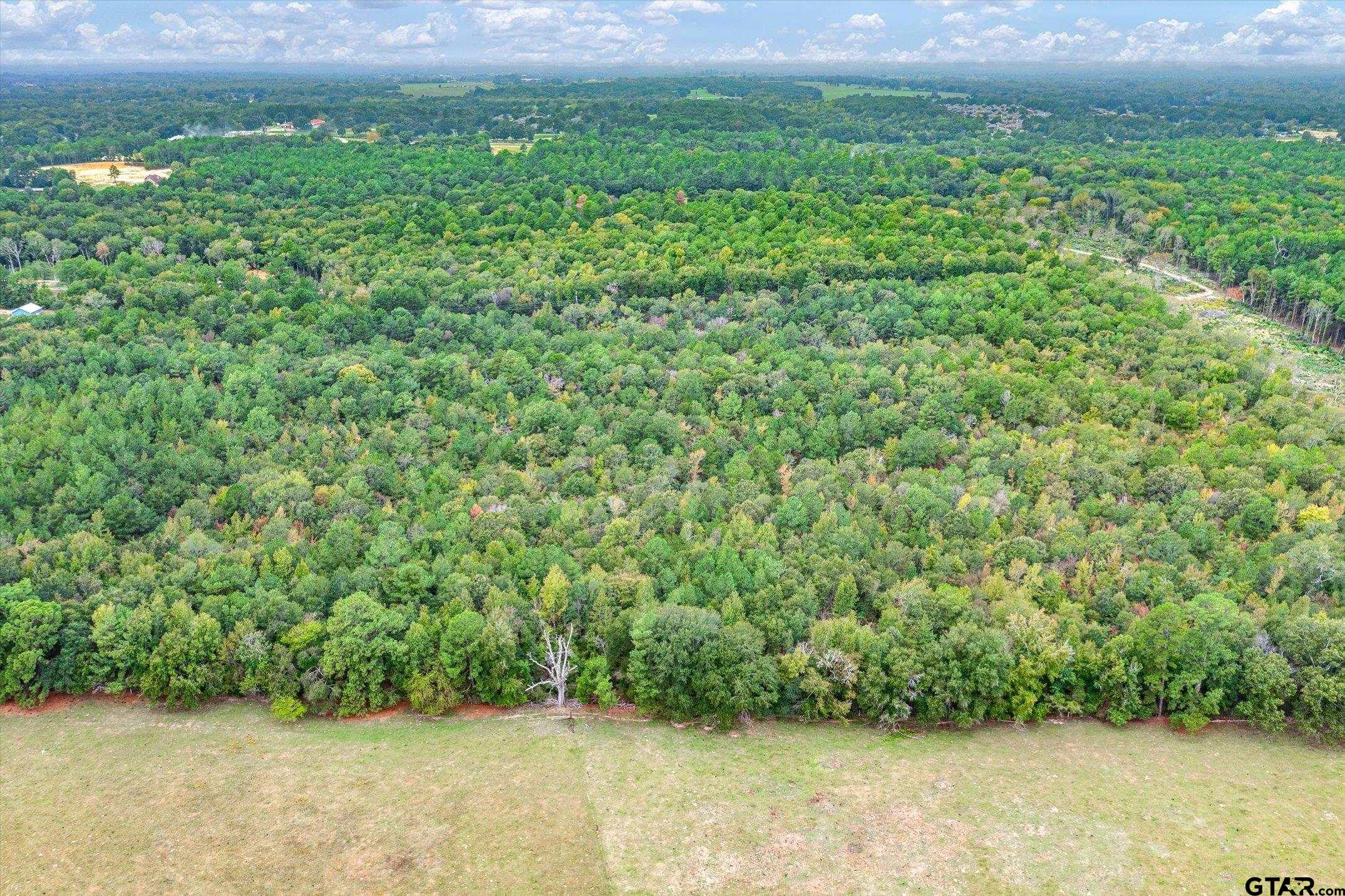 TBD (8.138 Acr) County Road 152 E