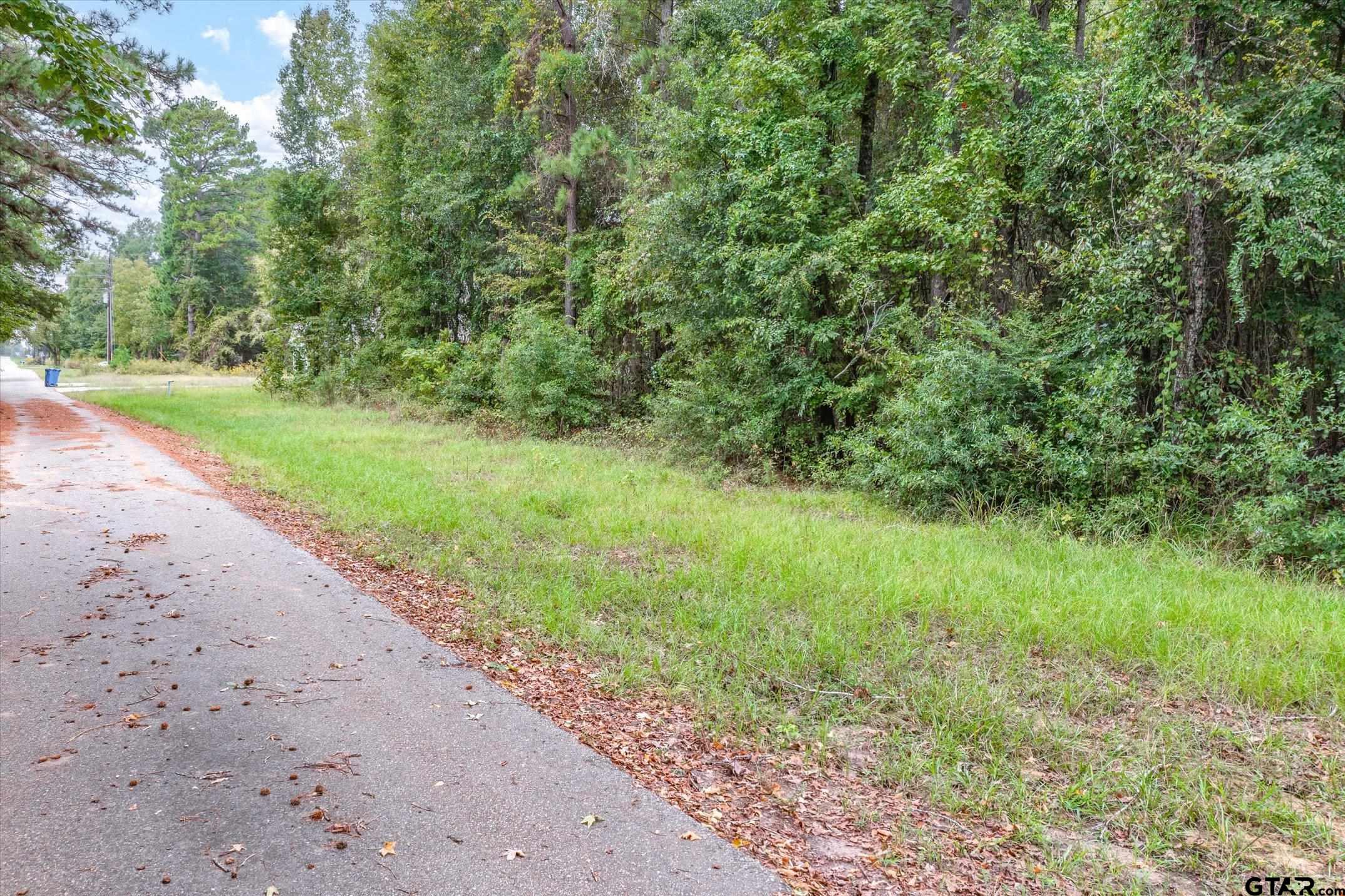 TBD (8.138 Acr) County Road 152 E