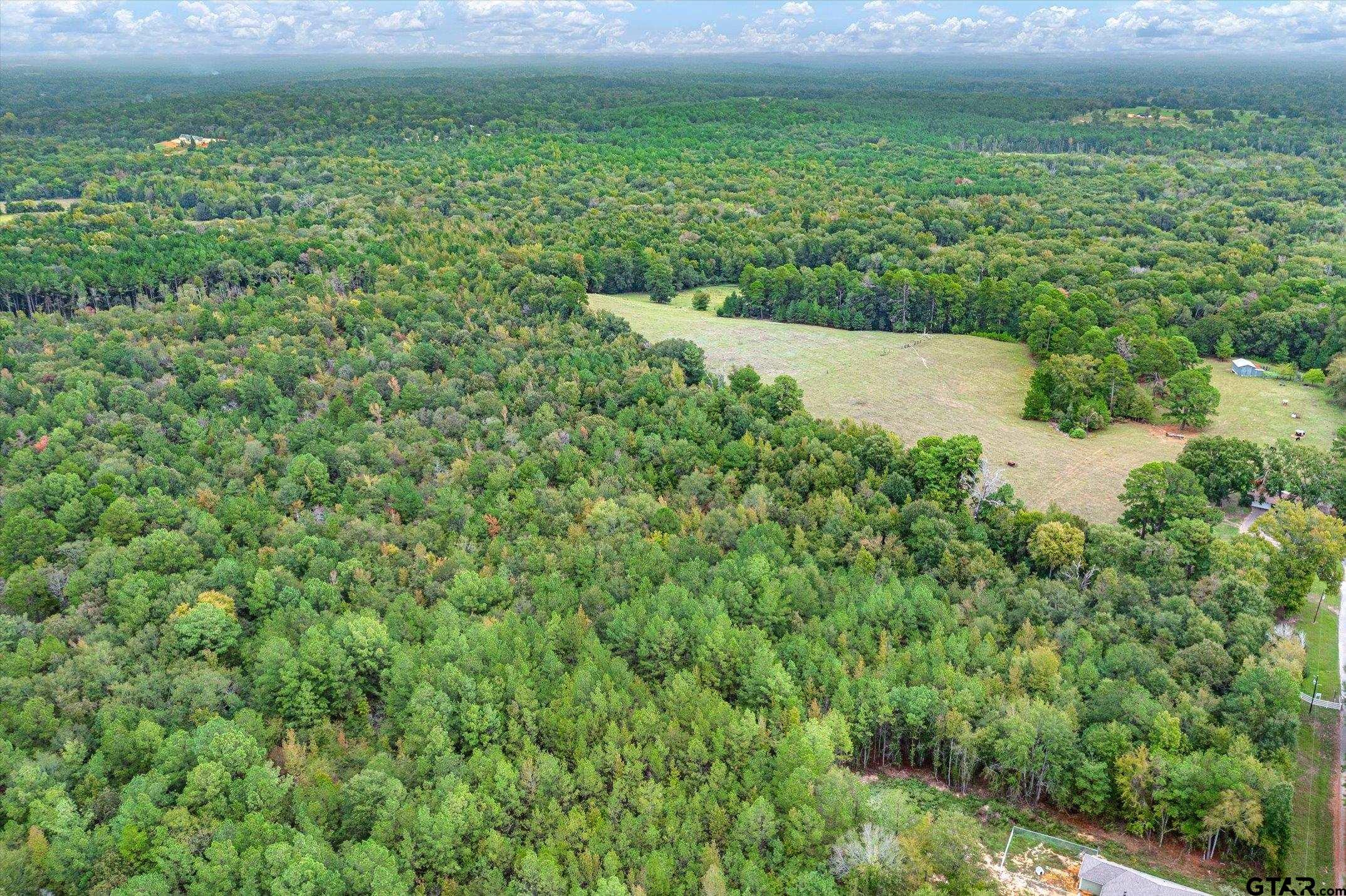 TBD (8.138 Acr) County Road 152 E