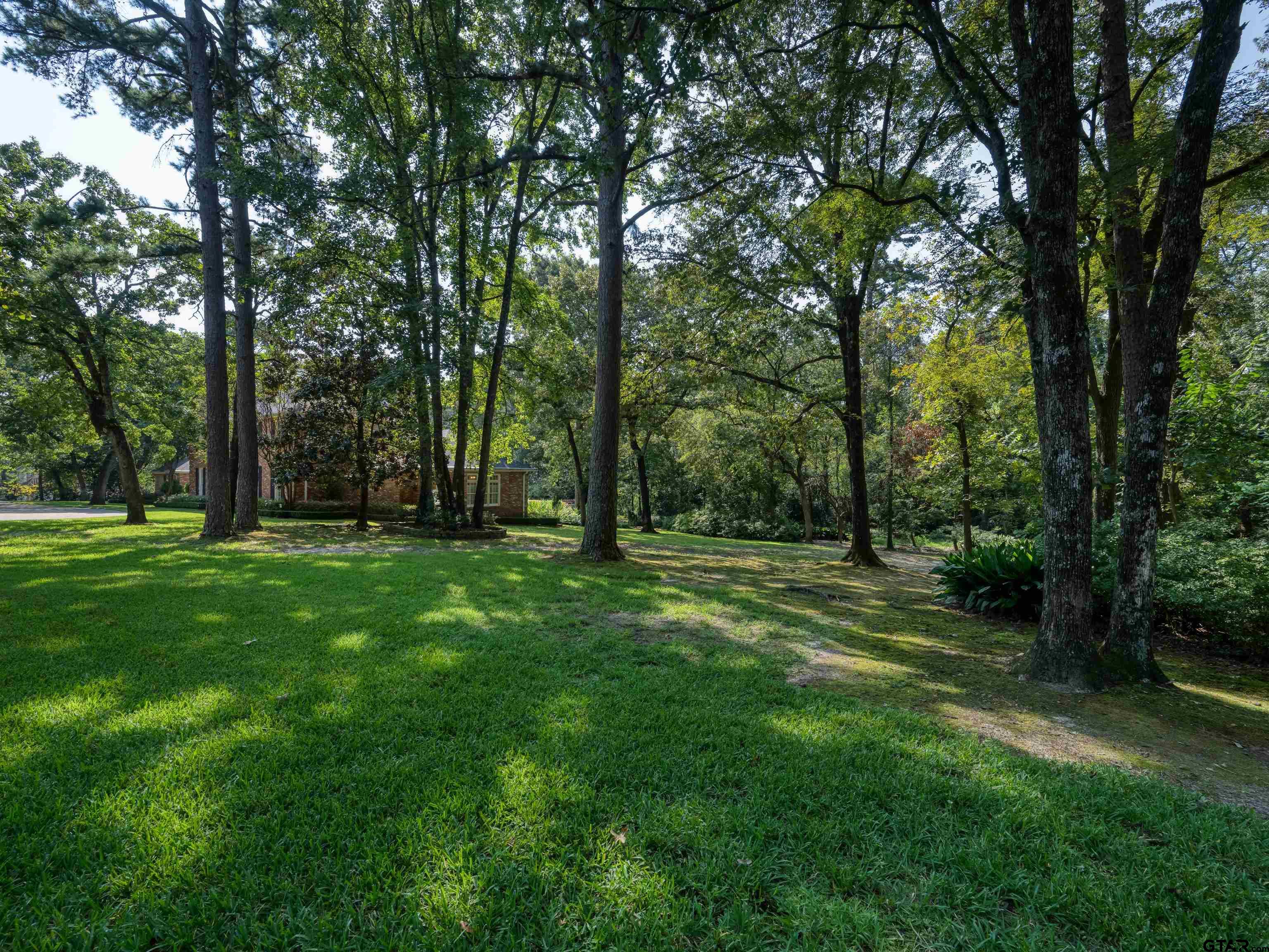 419 Wilder Way