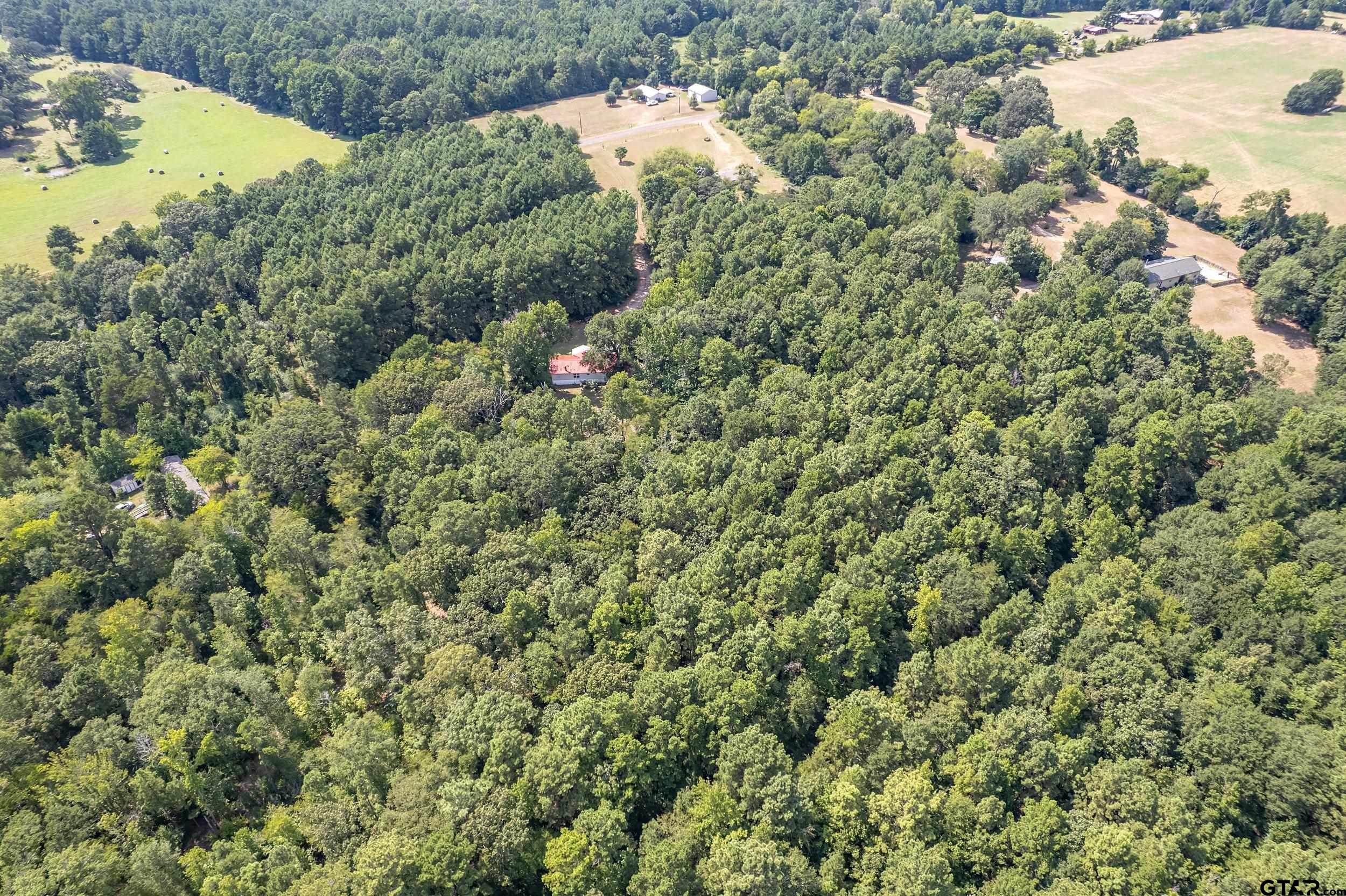 1655 County Road 2120