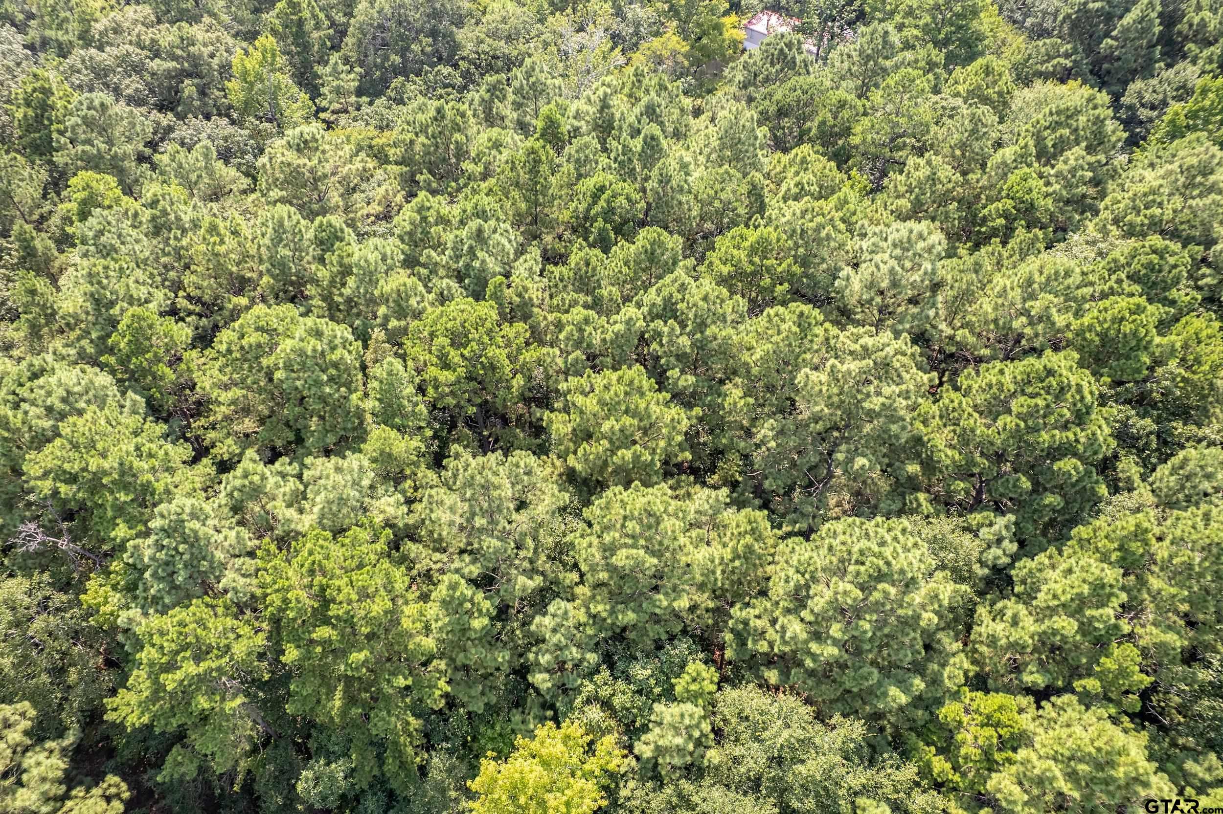 1655 County Road 2120