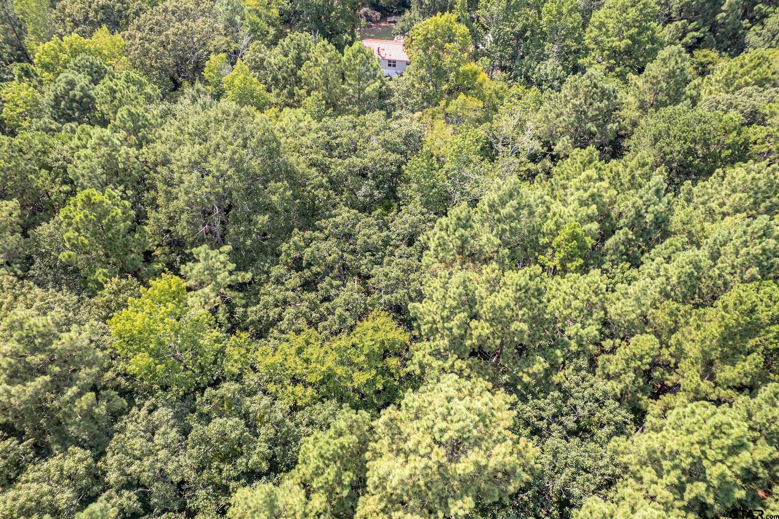 1655 County Road 2120