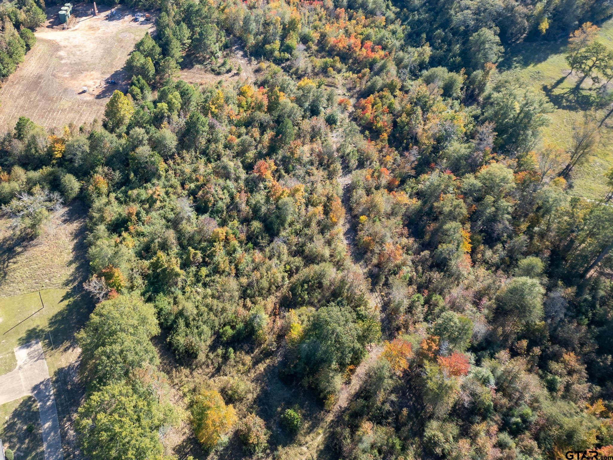 TBD State Highway 43 E