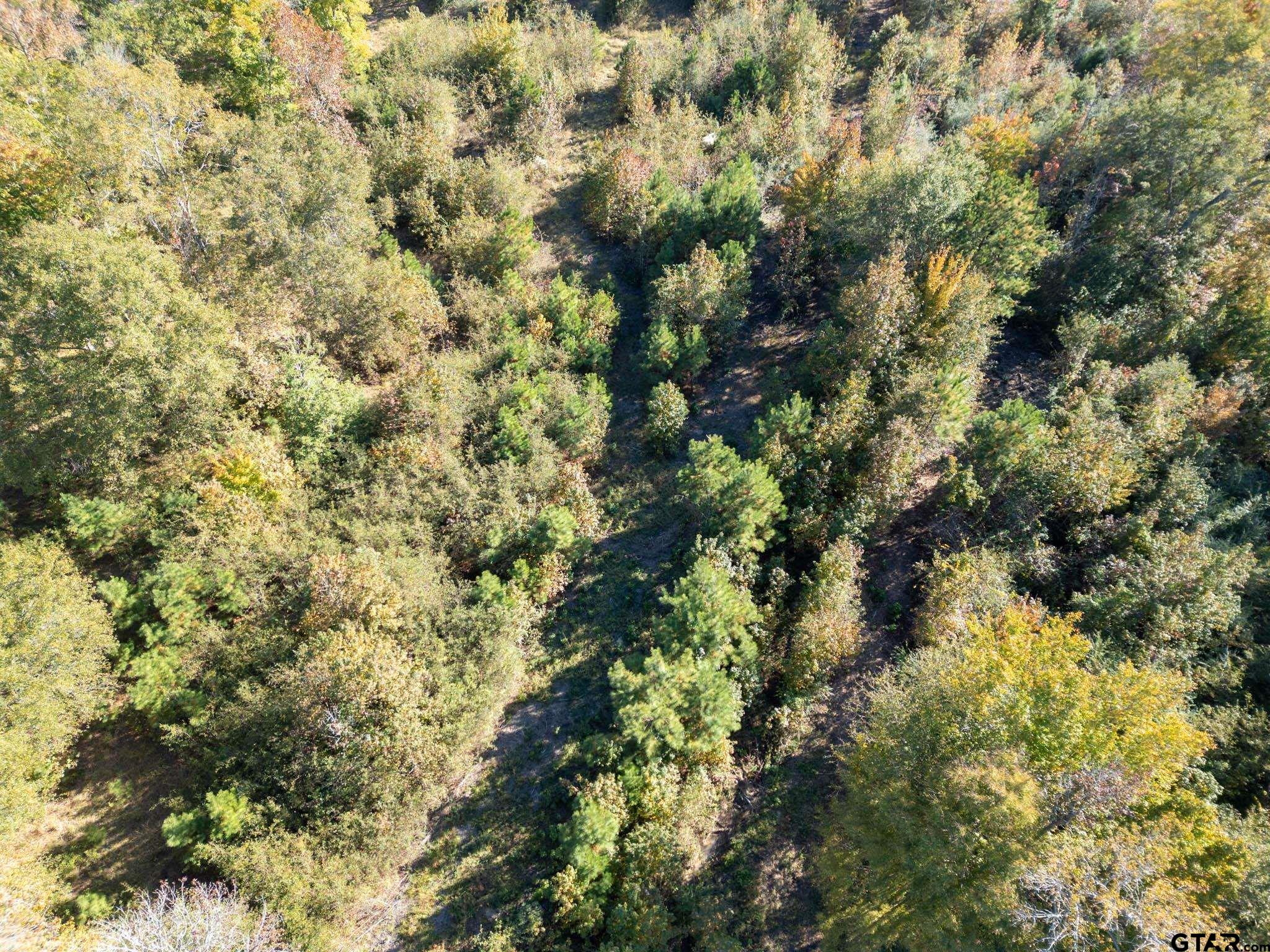 TBD State Highway 43 E