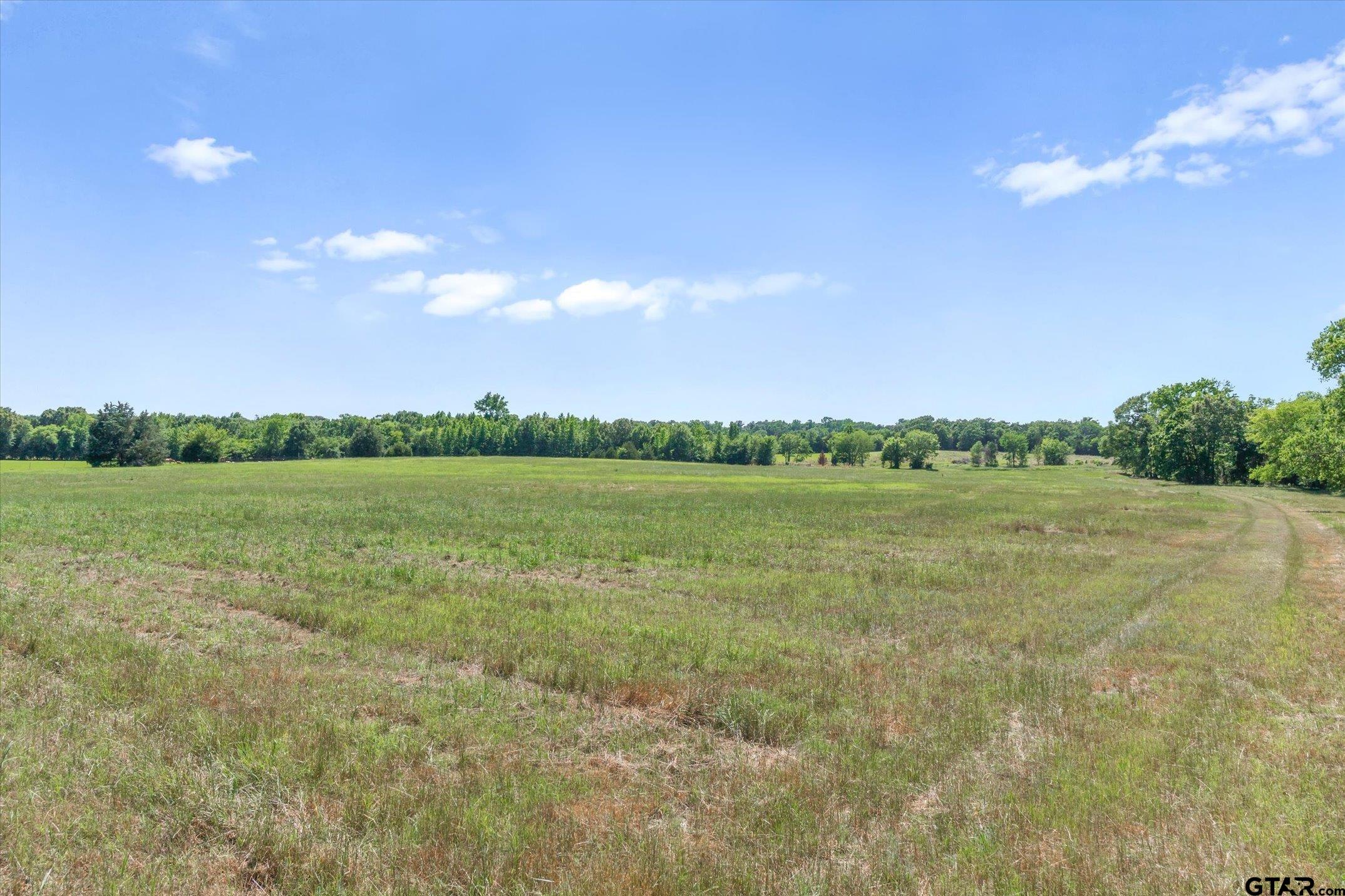 TBD Cr 4509