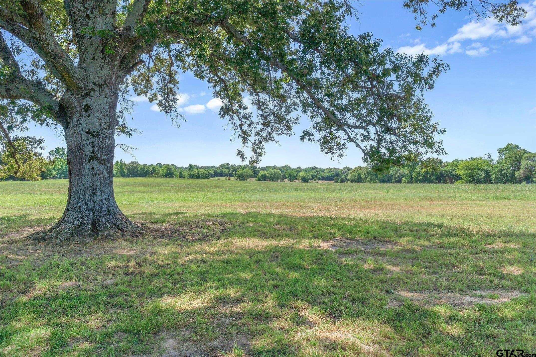TBD Cr 4509