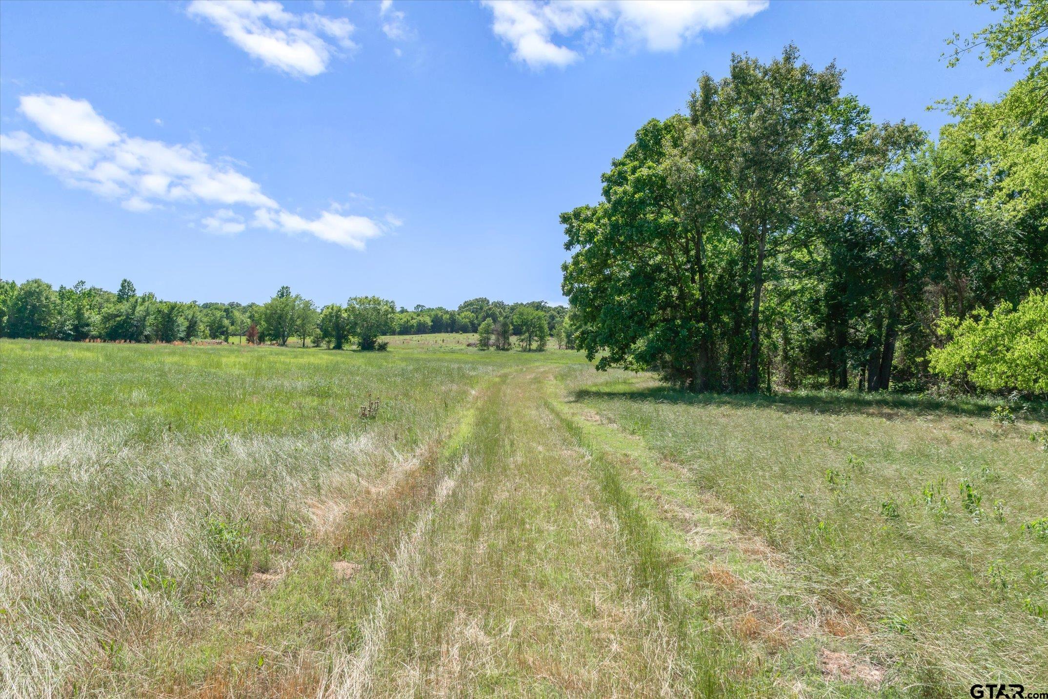 TBD Cr 4509