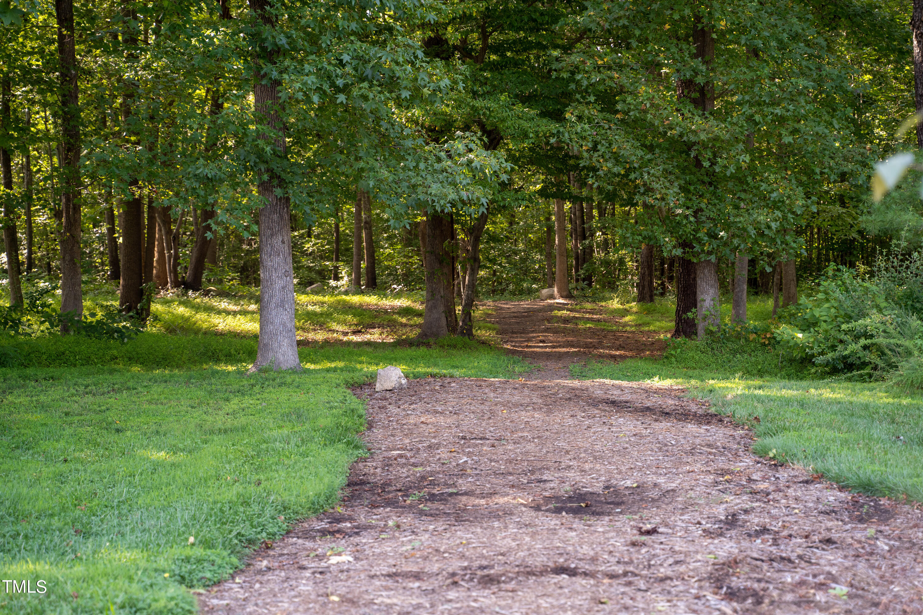 499 Bennett Mountain Trace