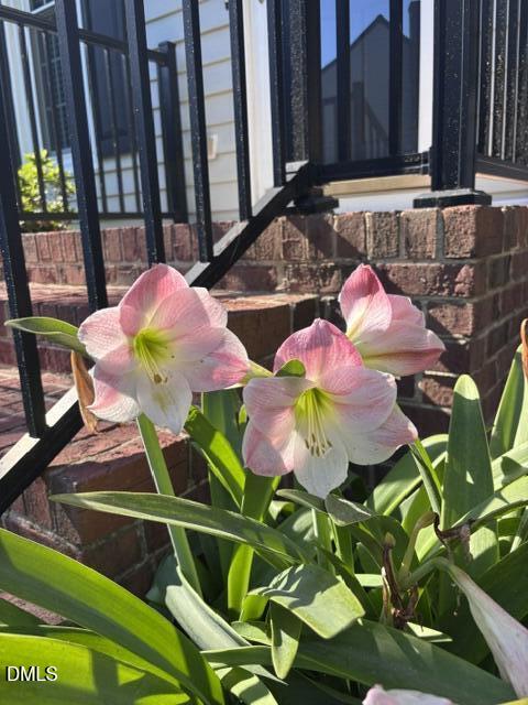 109 Whitby Court