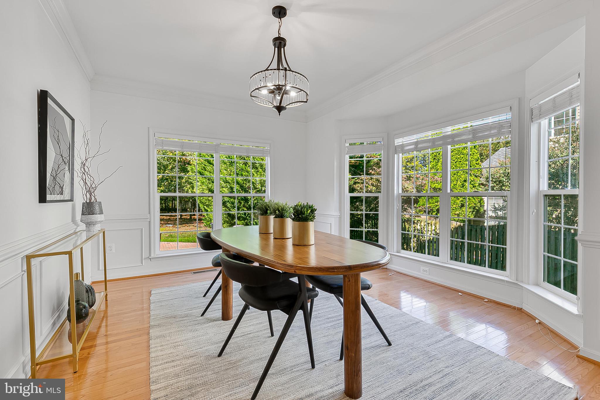 22059 WATER RUN COURT