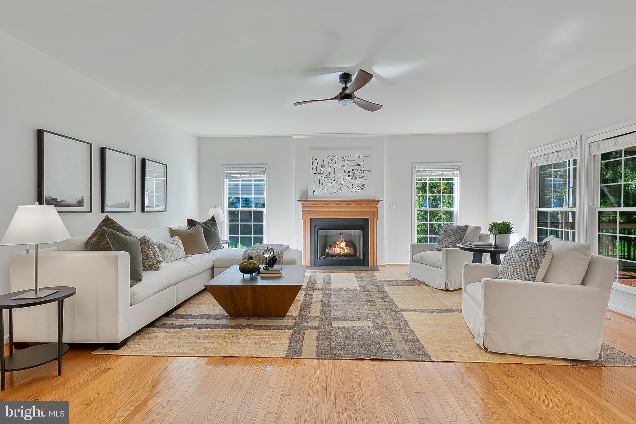 22059 WATER RUN COURT