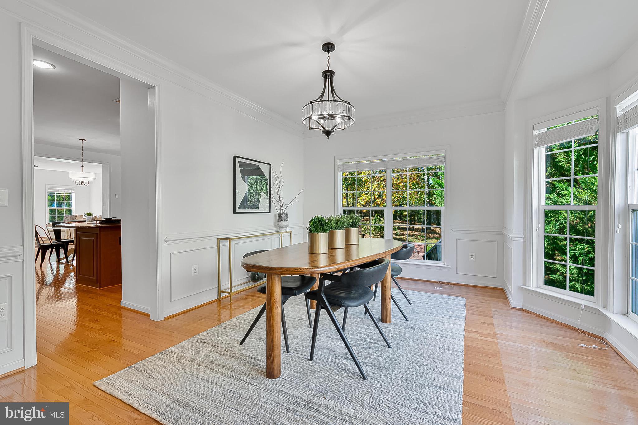 22059 WATER RUN COURT