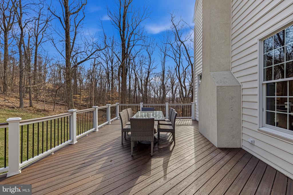 41297 DUTTON COURT