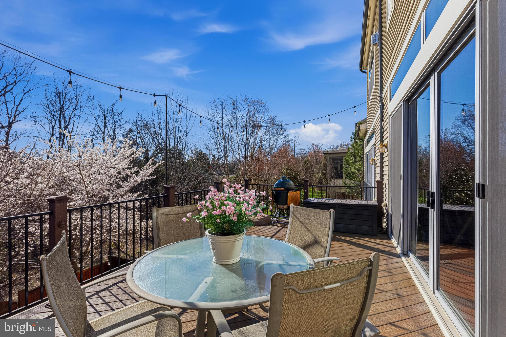 42517 SANDWORT TERRACE