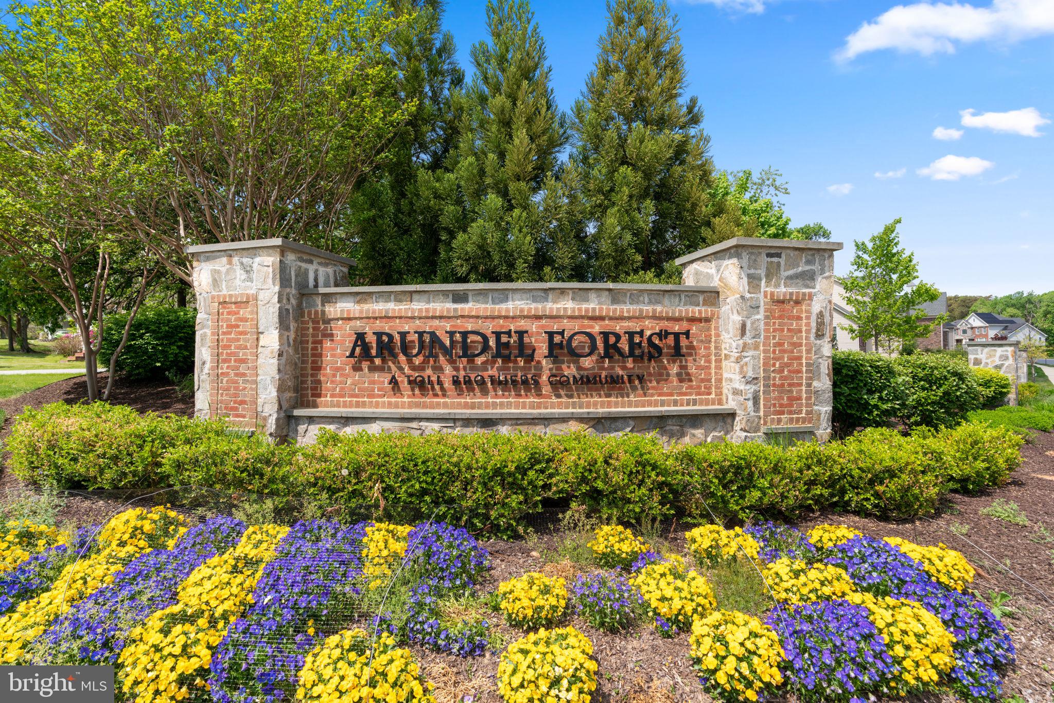 8506 Pine Springs Dr