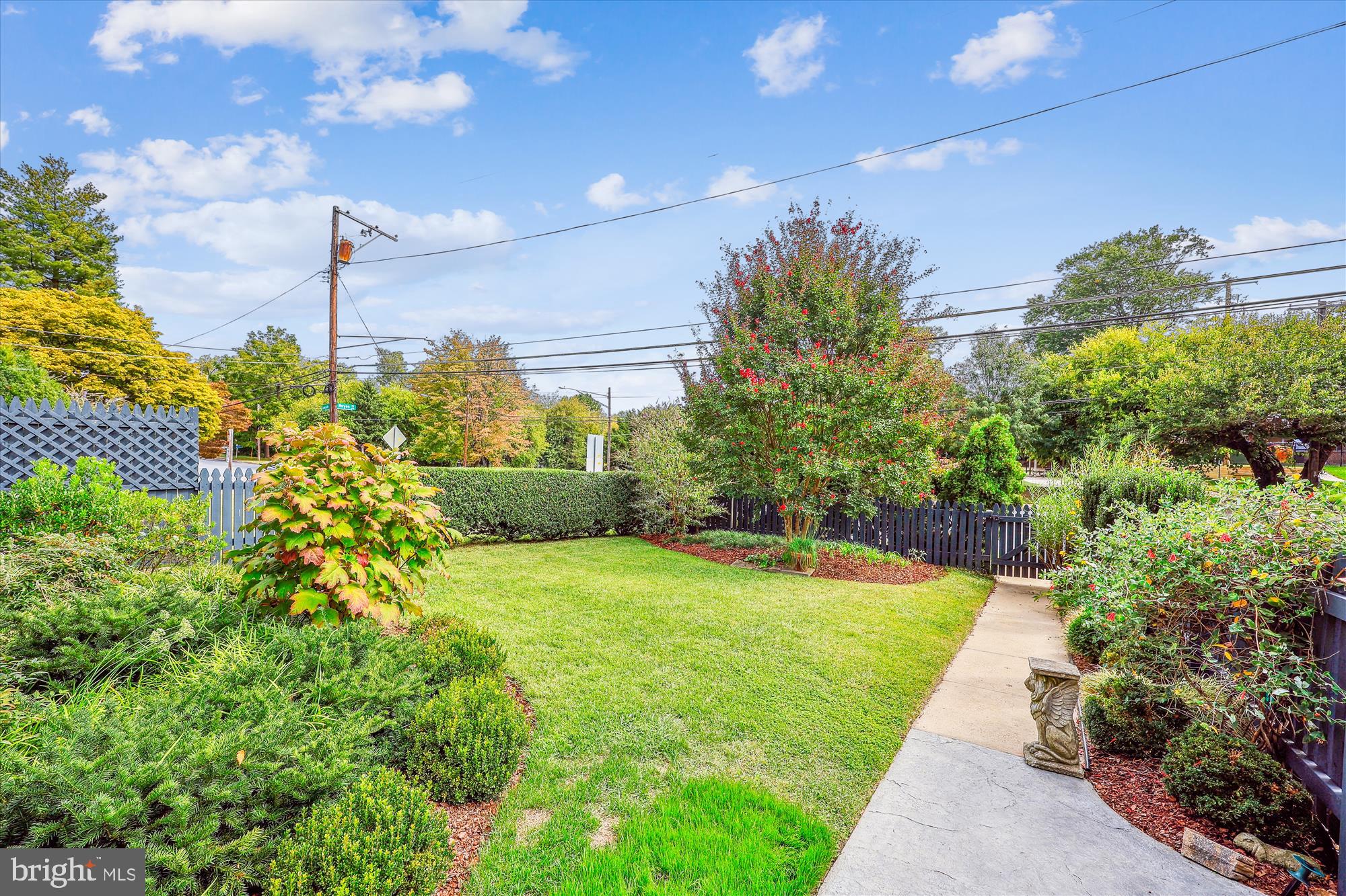 8904 Colesville Rd