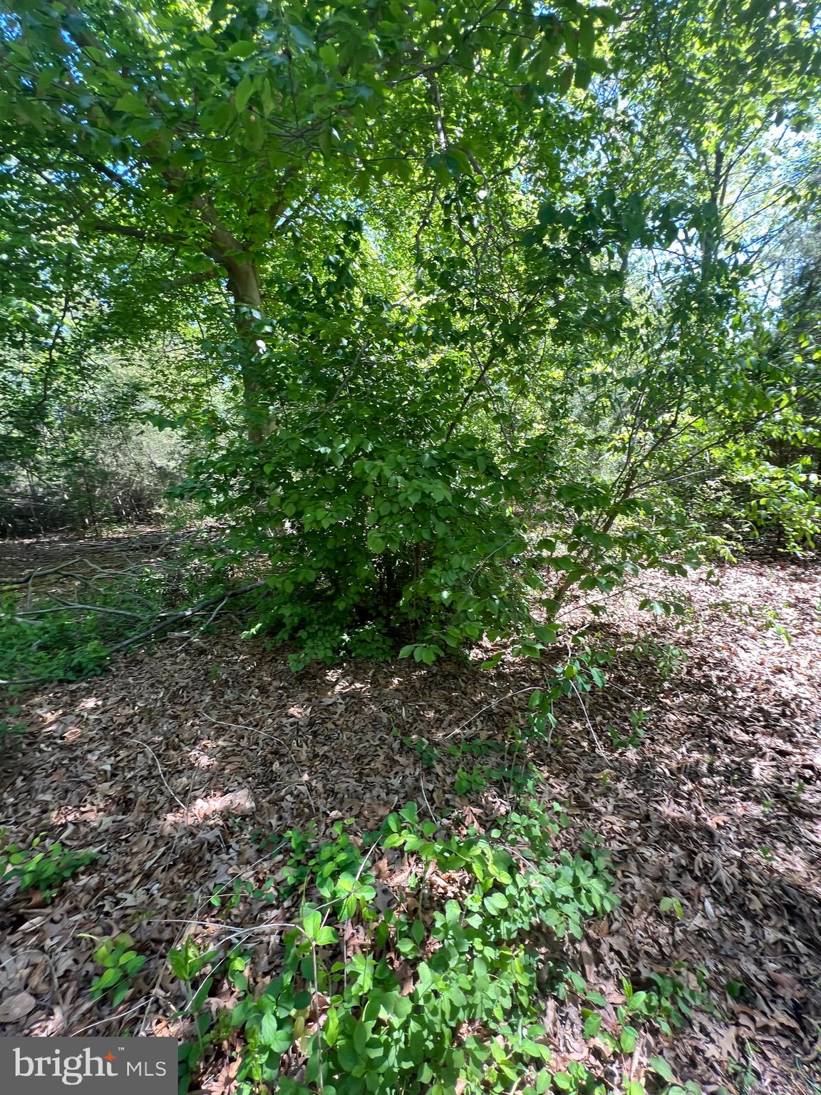 16226 Livingston Rd