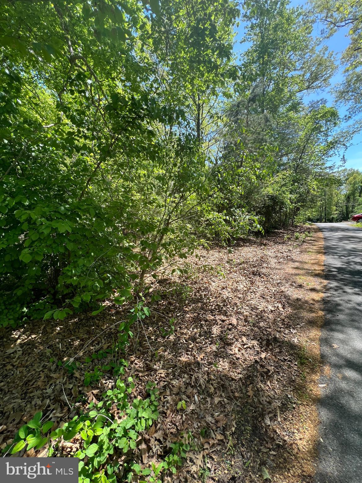 16226 Livingston Rd