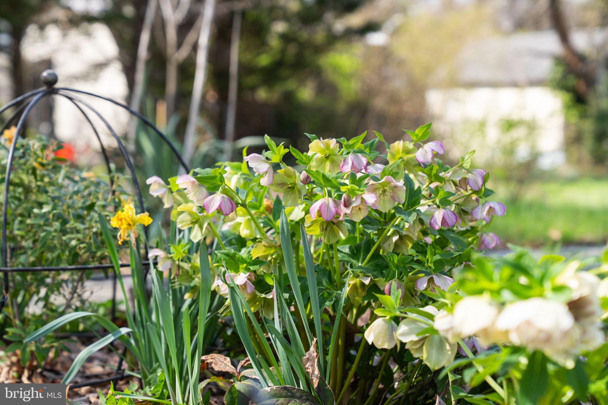 4702 LONGFELLOW STREET