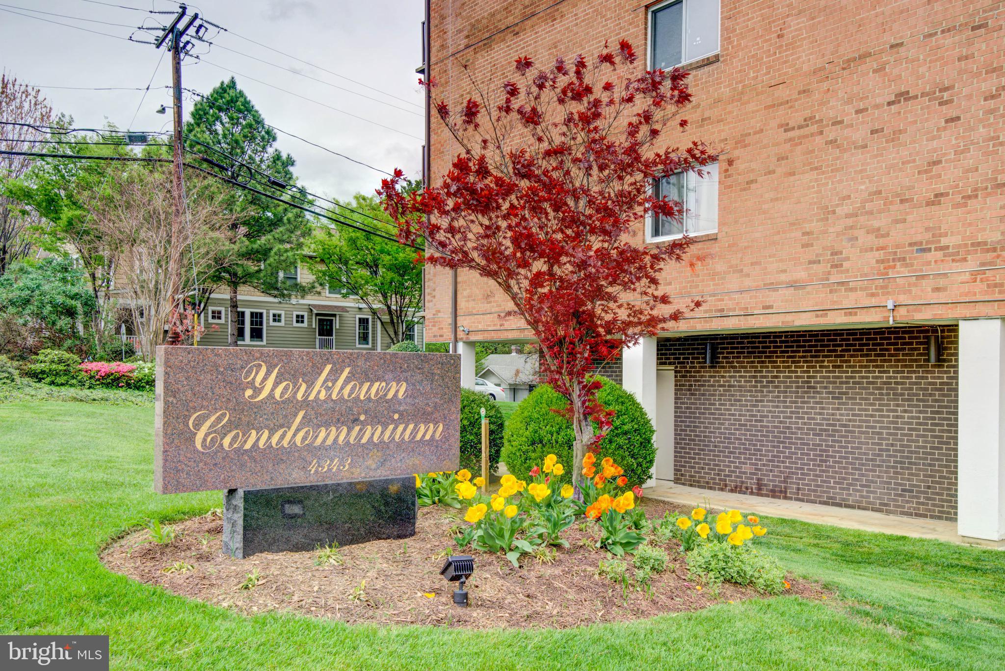 4343 Cherry Hill Rd #706