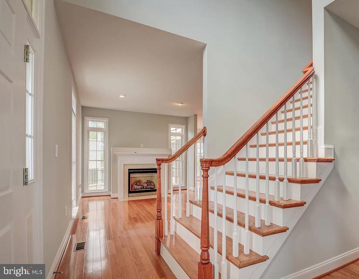 13548 Mist Flower DRIVE